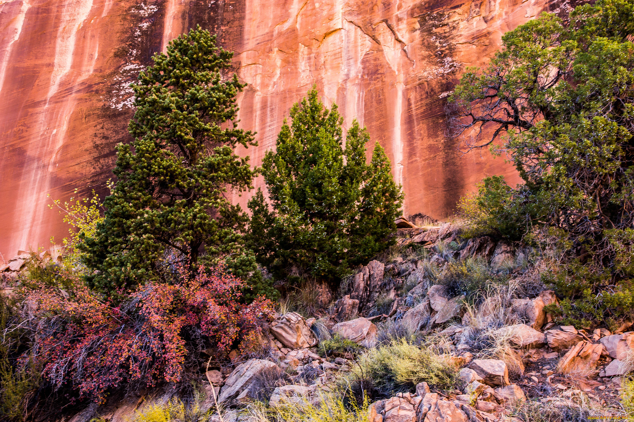 природа, горы, простор