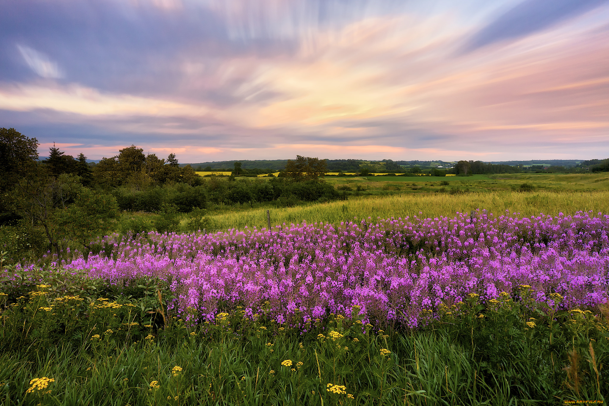 природа, луга, рассвет