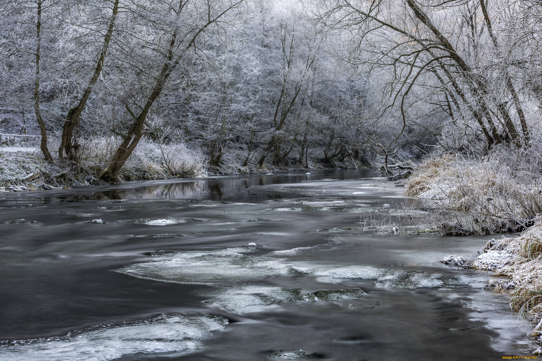 природа, реки, озера, простор
