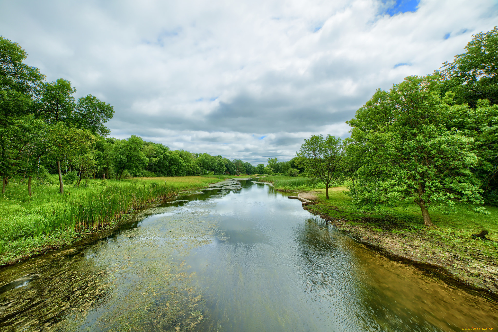 природа, реки, озера, река, лес