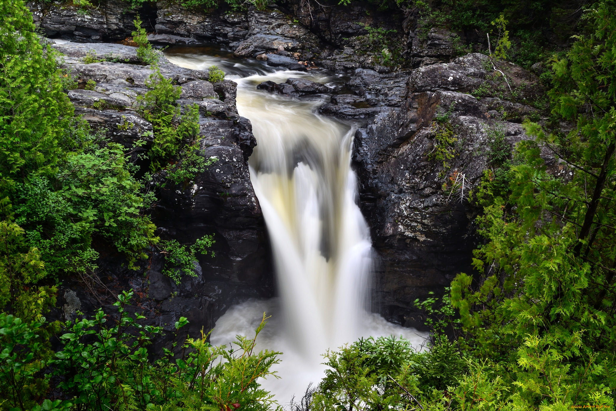 природа, водопады, лес, река, водопад