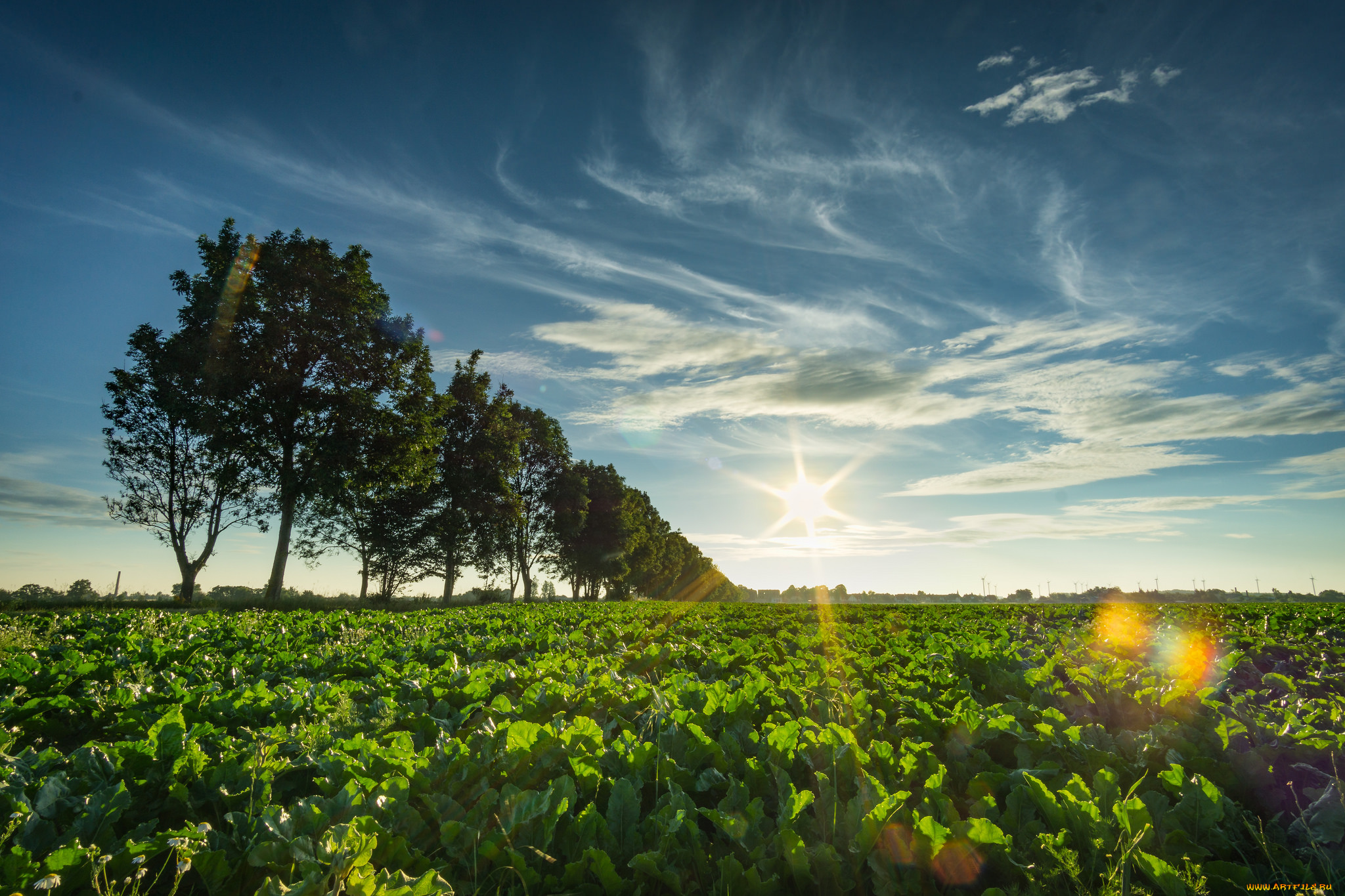 природа, восходы, закаты, рассвет