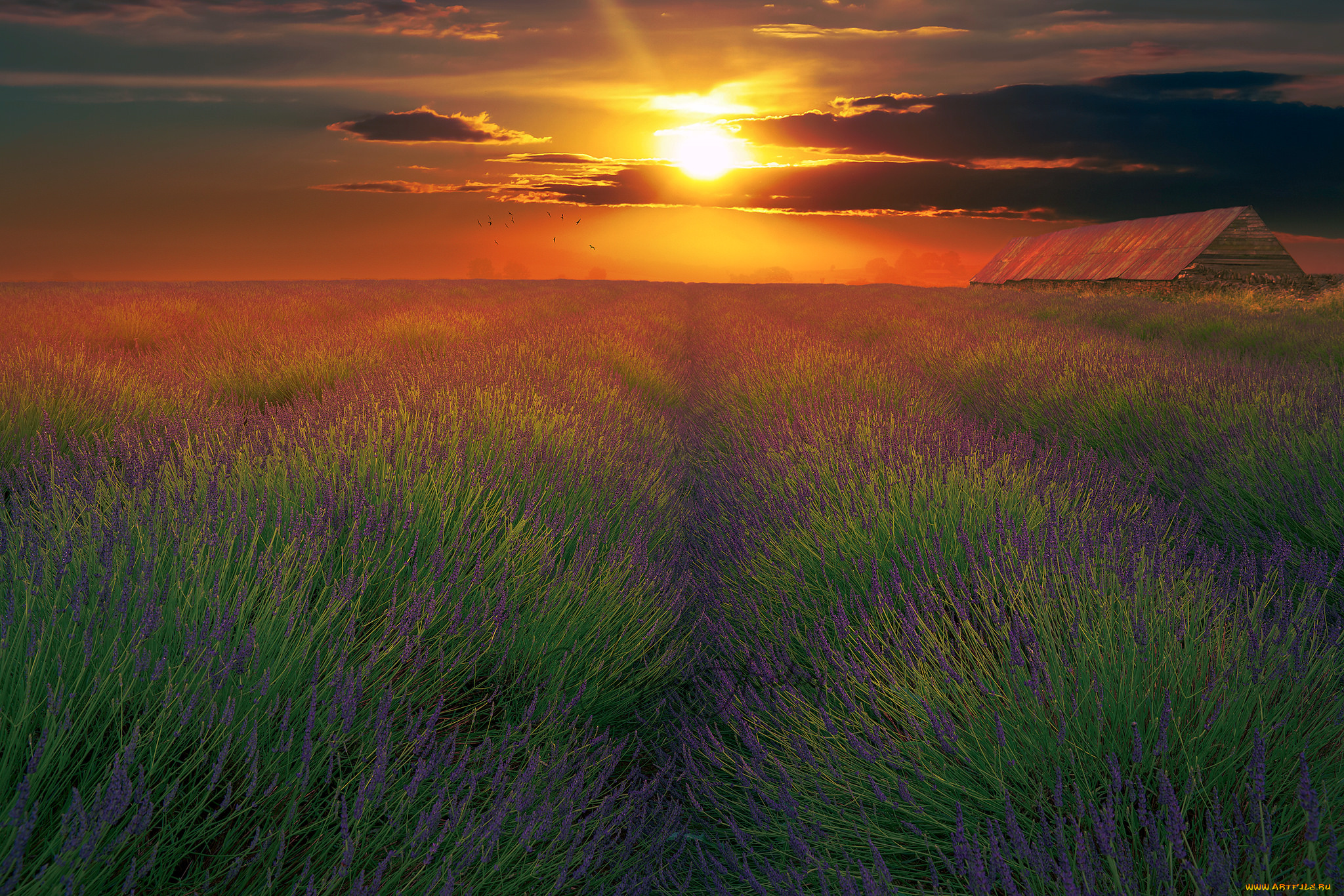 природа, восходы, закаты, рассвет