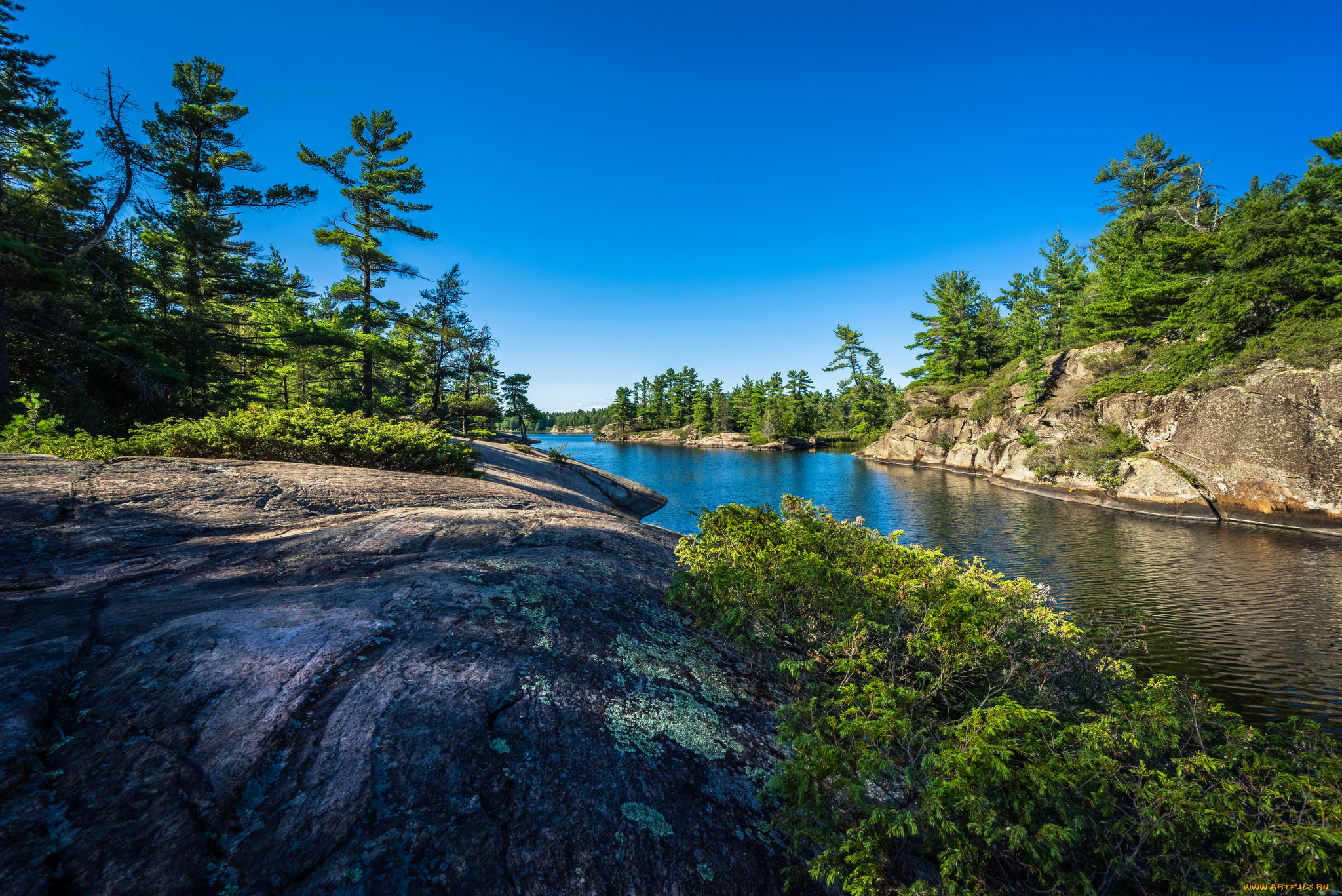 природа, реки, озера, река, лес