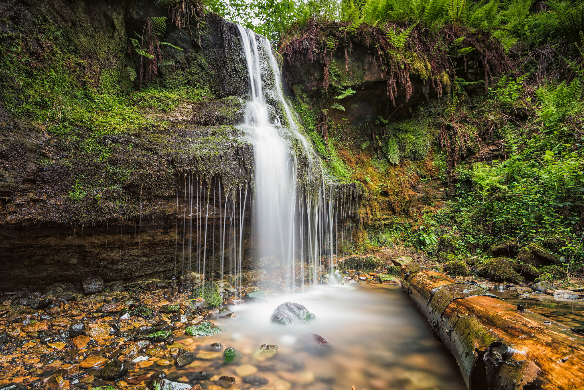 природа, водопады, лес, река, водопад