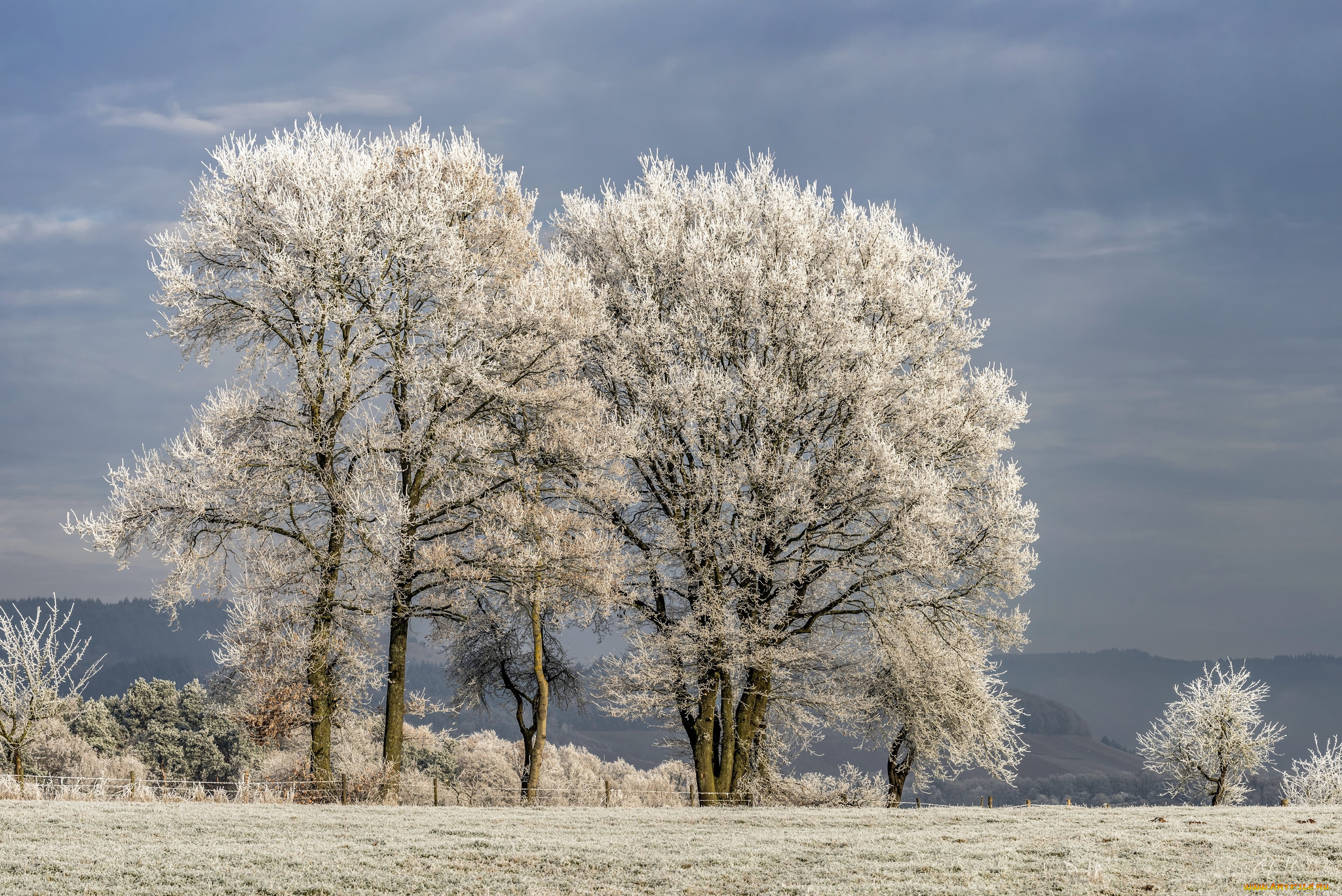 природа, зима, снег