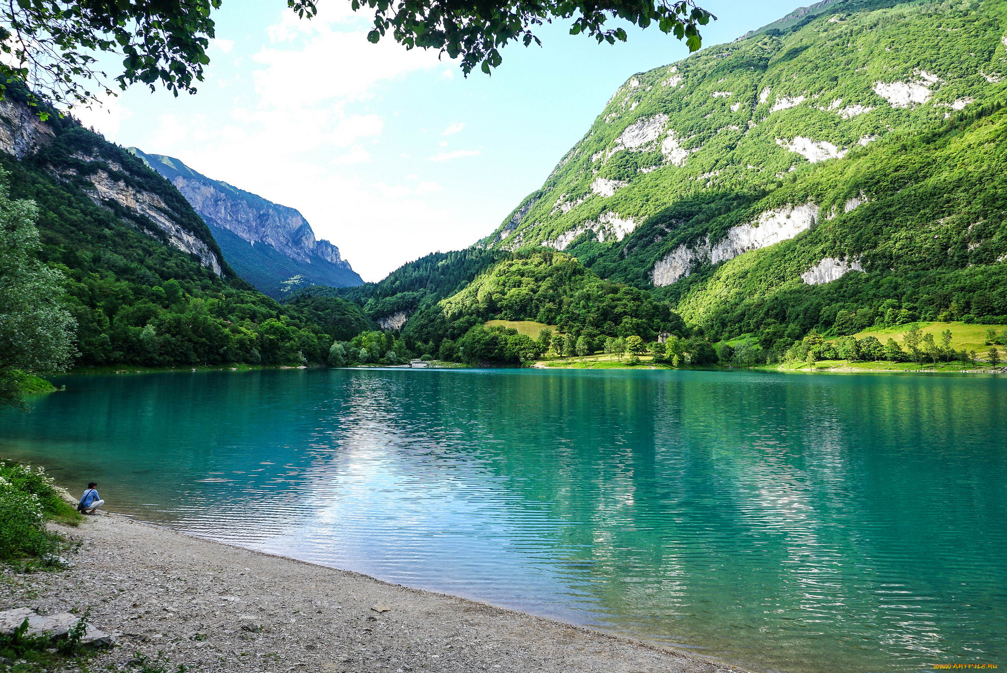 природа, реки, озера, река, лес