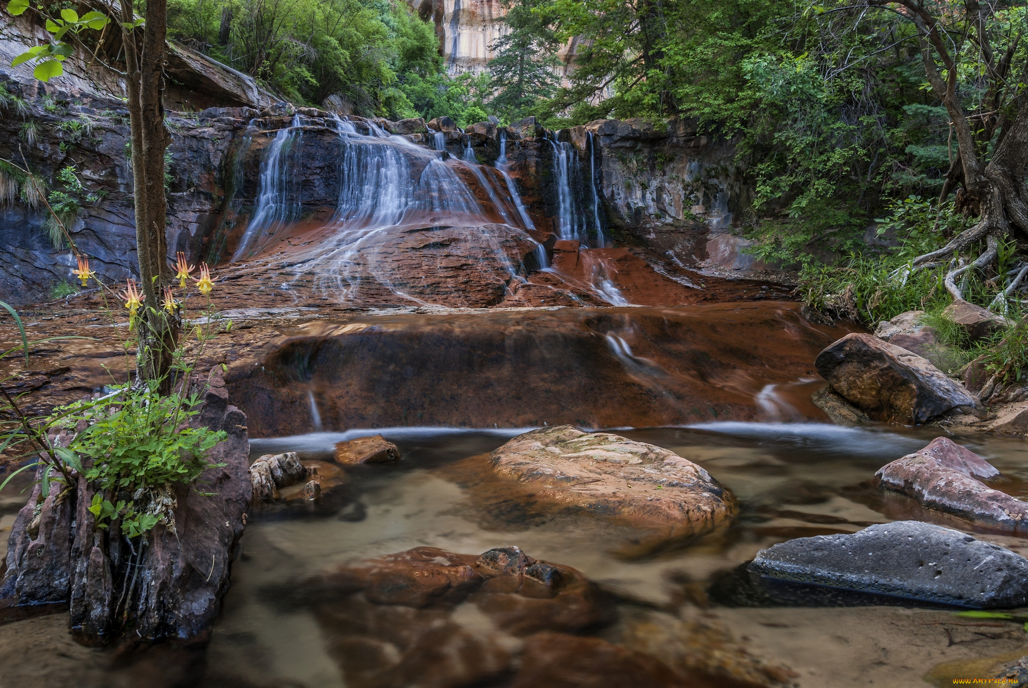 природа, водопады, водопад, река, лес