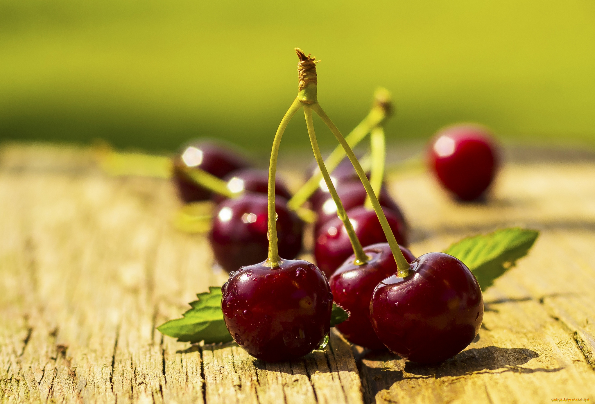 еда, вишня, , черешня, сочная, ягода, черешня, вкусная