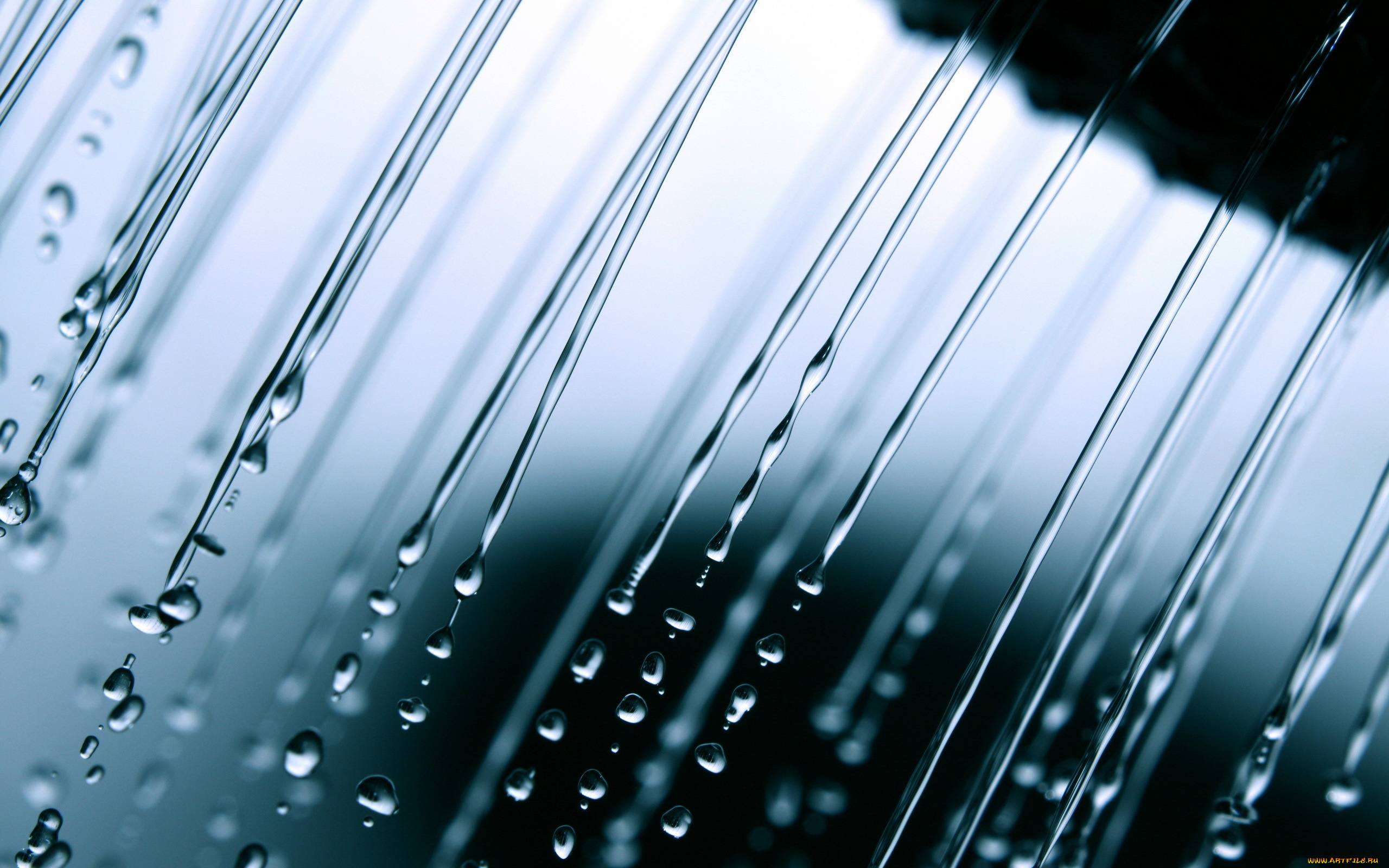 разное, капли, , брызги, , всплески, вода, макро, дождь