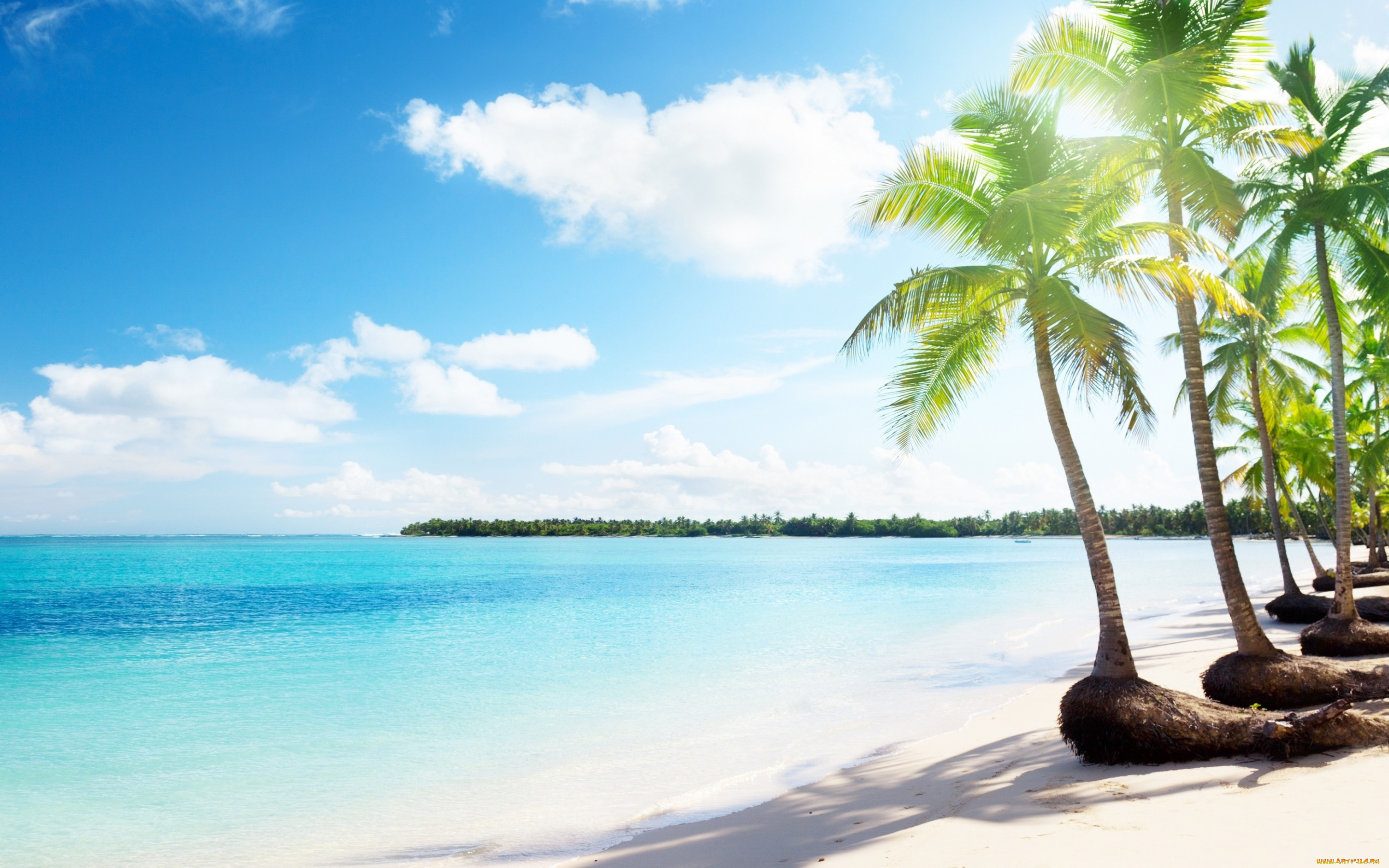 природа, тропики, море, облака, пальмы