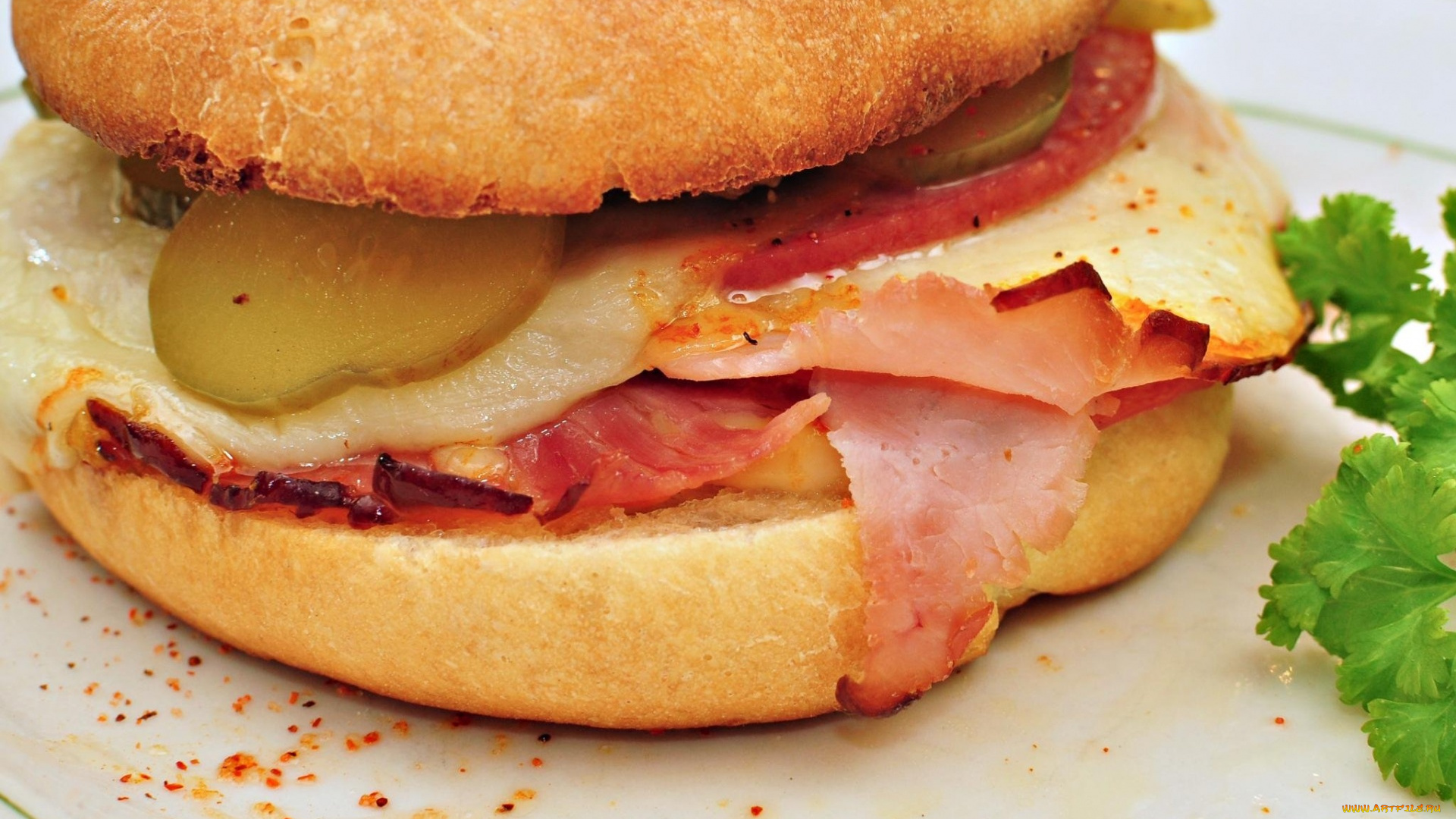 еда, бутерброды, , гамбургеры, , канапе, гамбургер