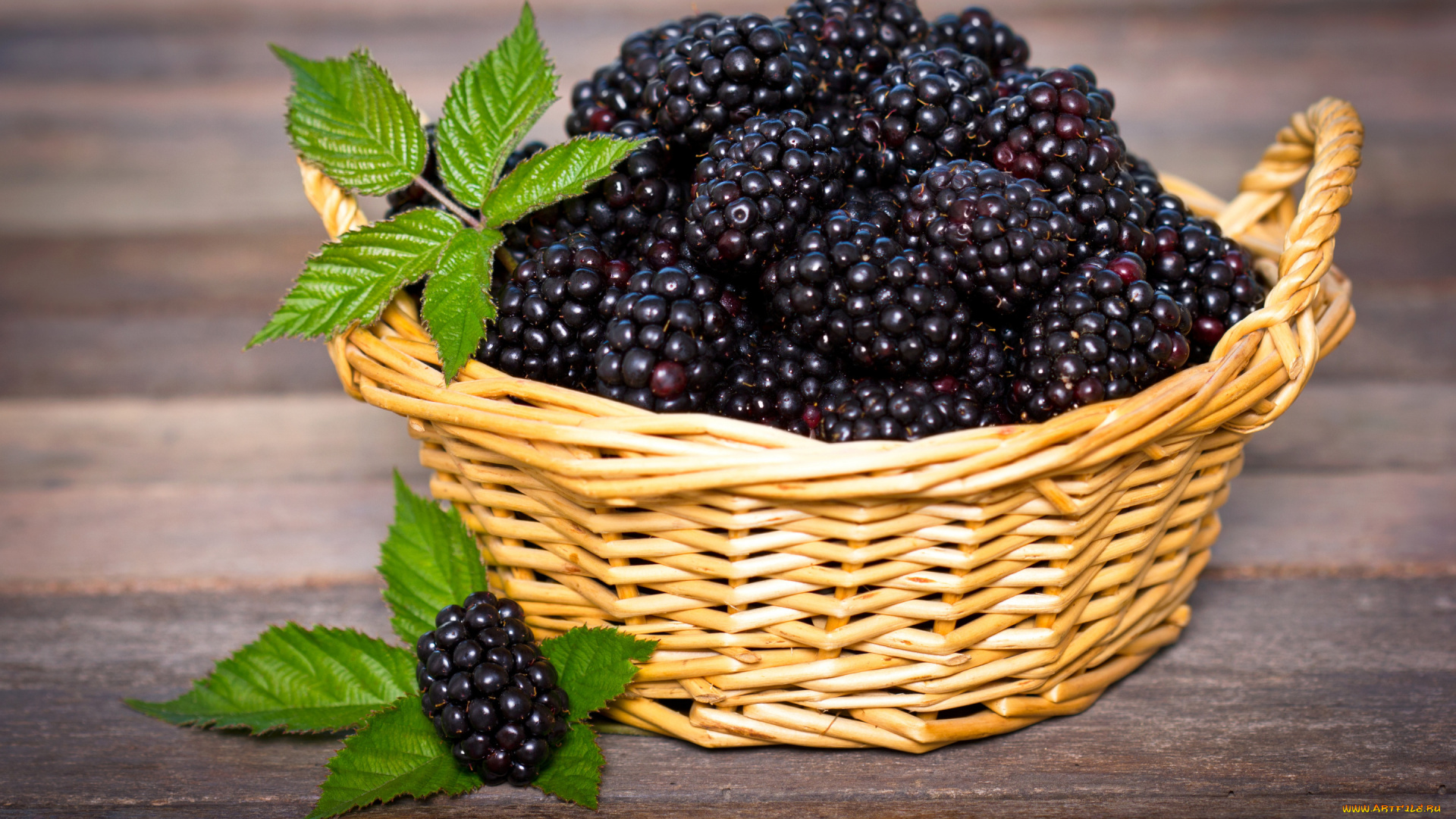 еда, ежевика, листья, крупный, план, стол, корзина, ягода, боке