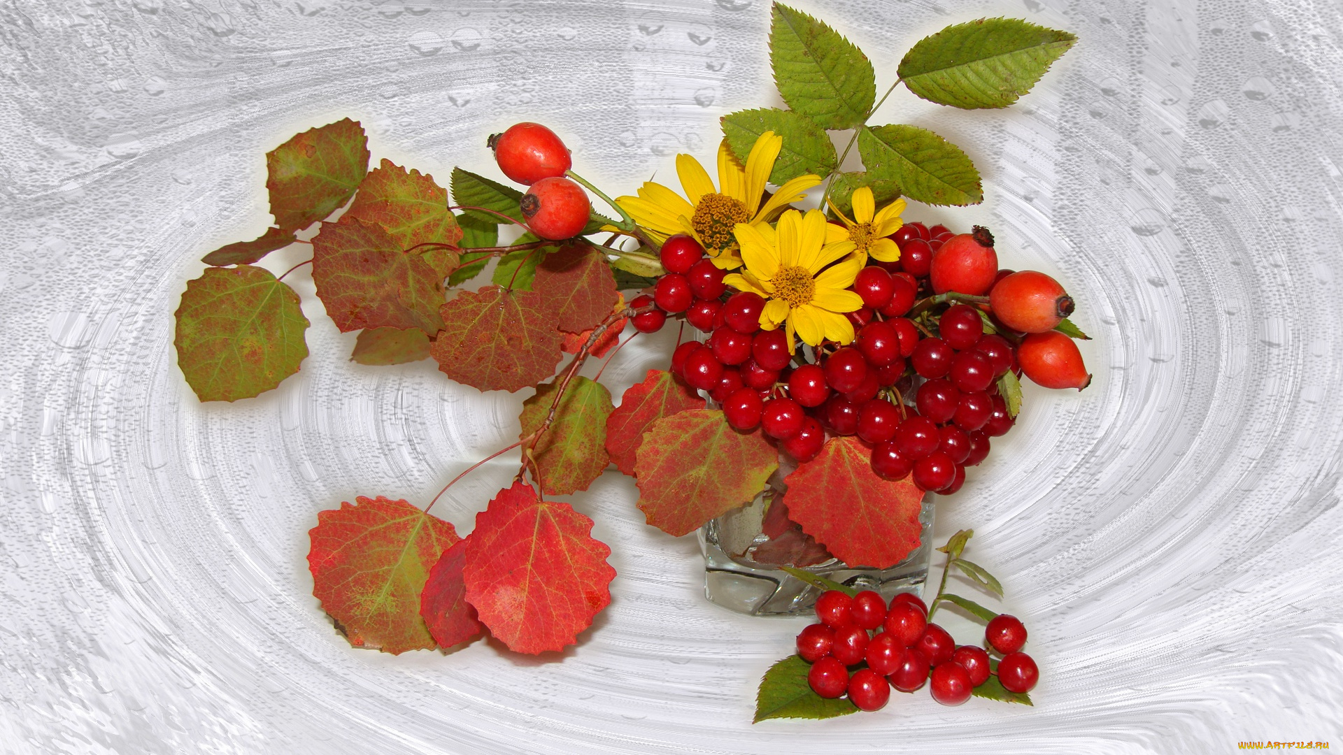 еда, натюрморт, листья, настроение, ромашки, шиповник, красивые, beautiful, beauty, harmony, bouquet, nice, elegantly, wedding, delicate, букеты, bride, калина