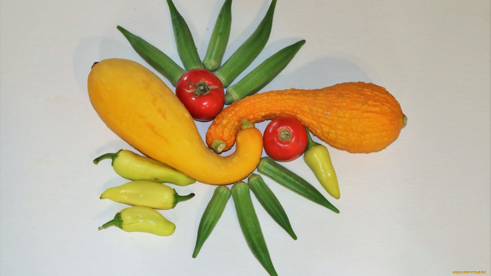 еда, овощи, перец, помидоры, бамия