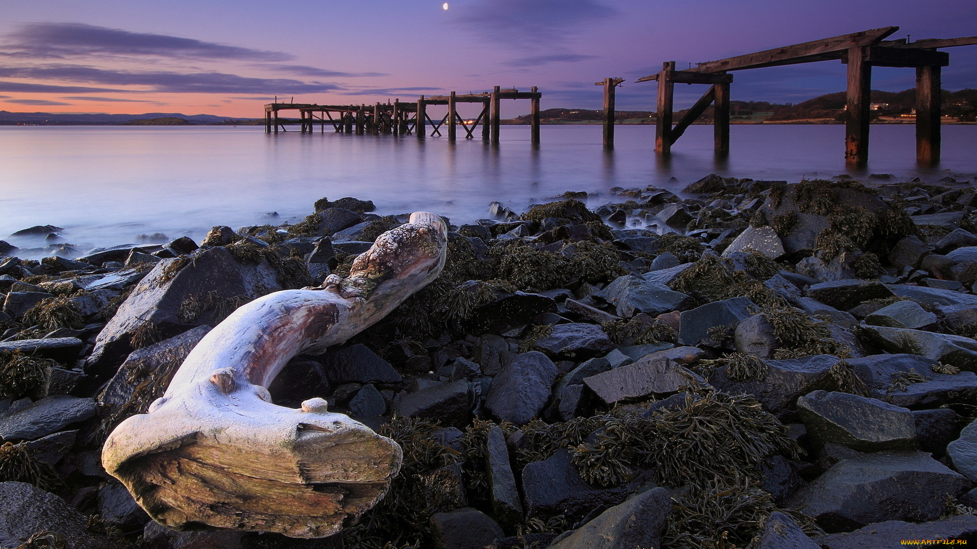 природа, побережье, закат, коряга, камни, берег, мост, водоросли, трава