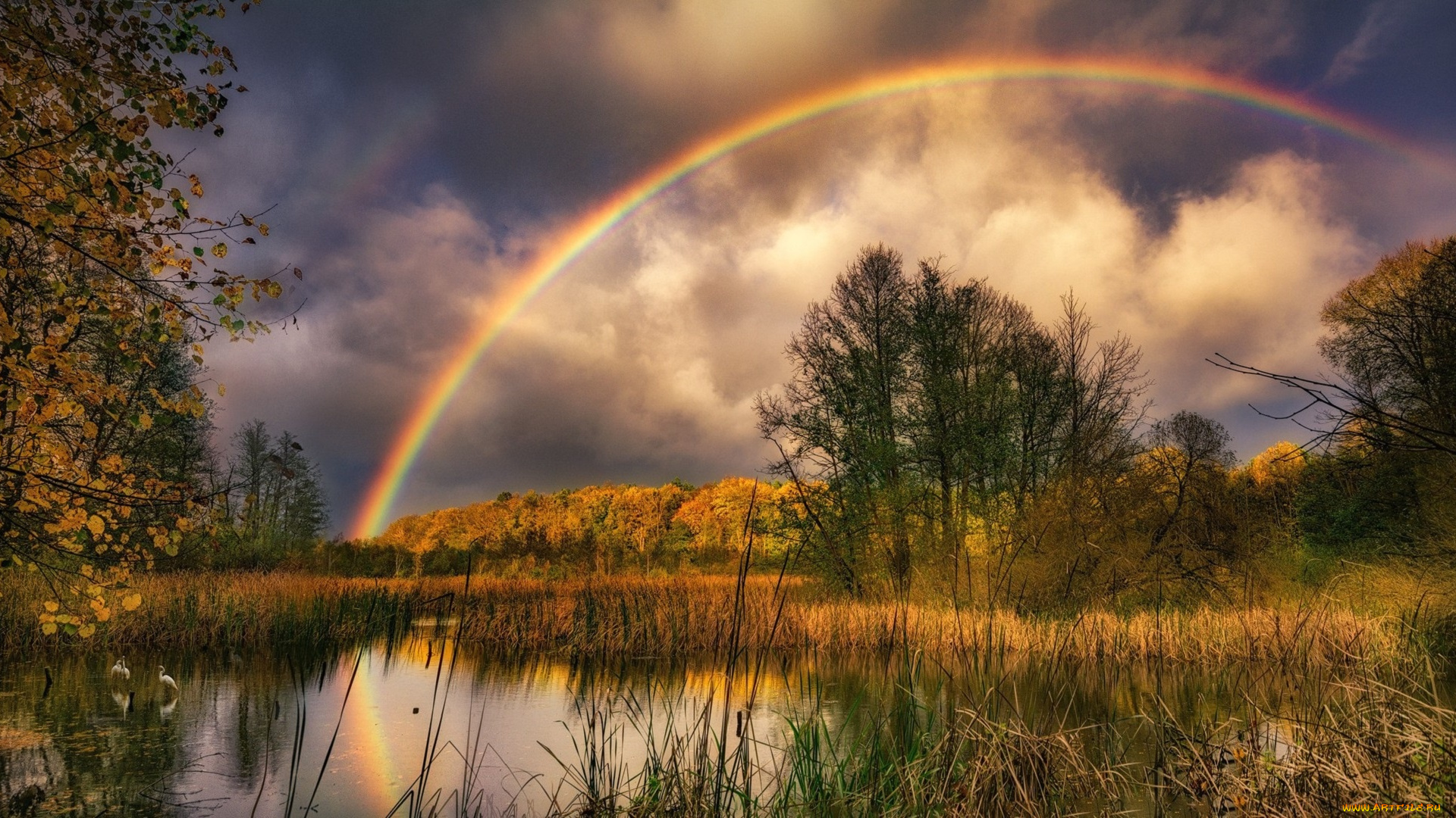 природа, радуга, озеро, осень
