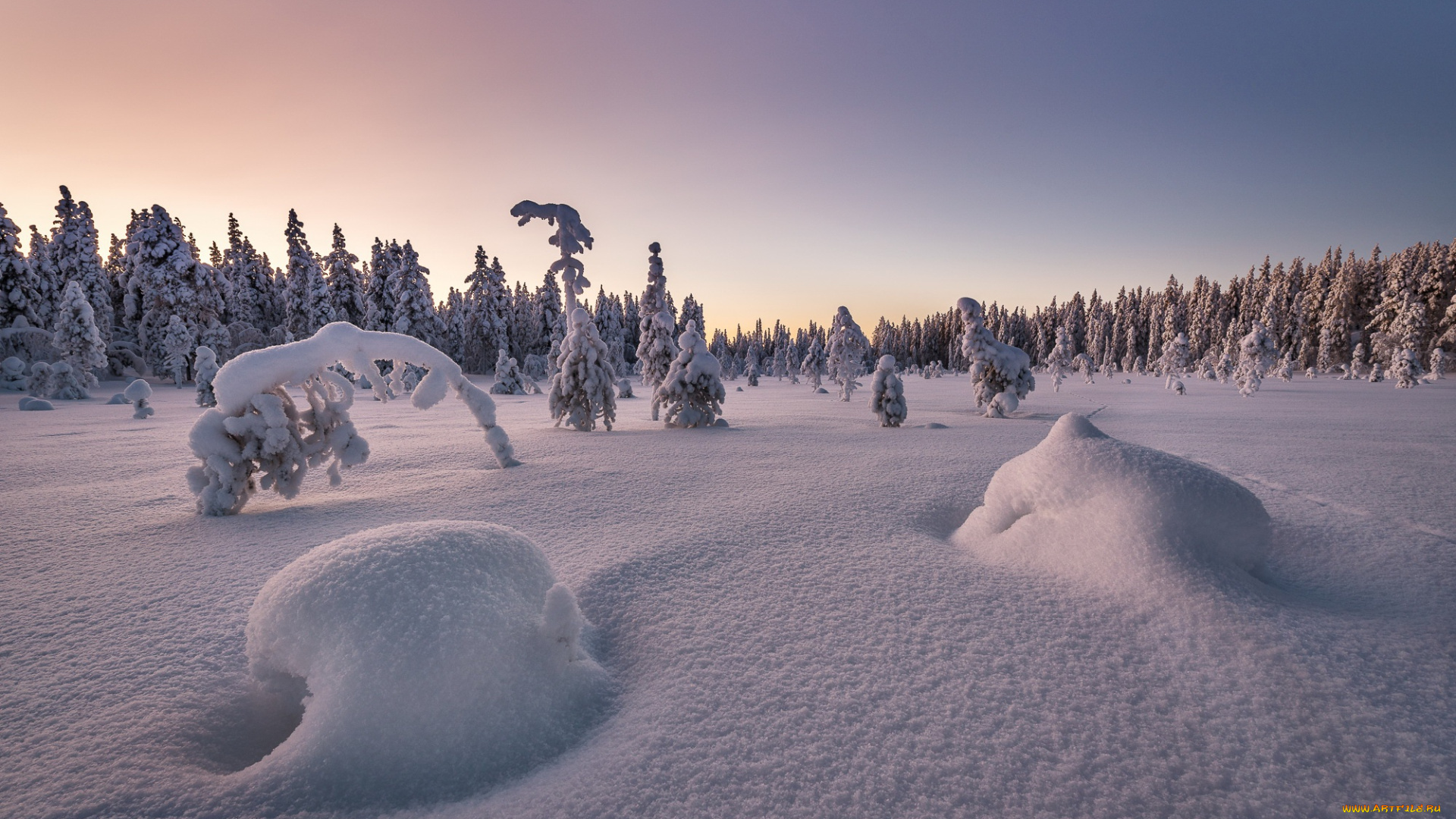 природа, зима, снег, лес