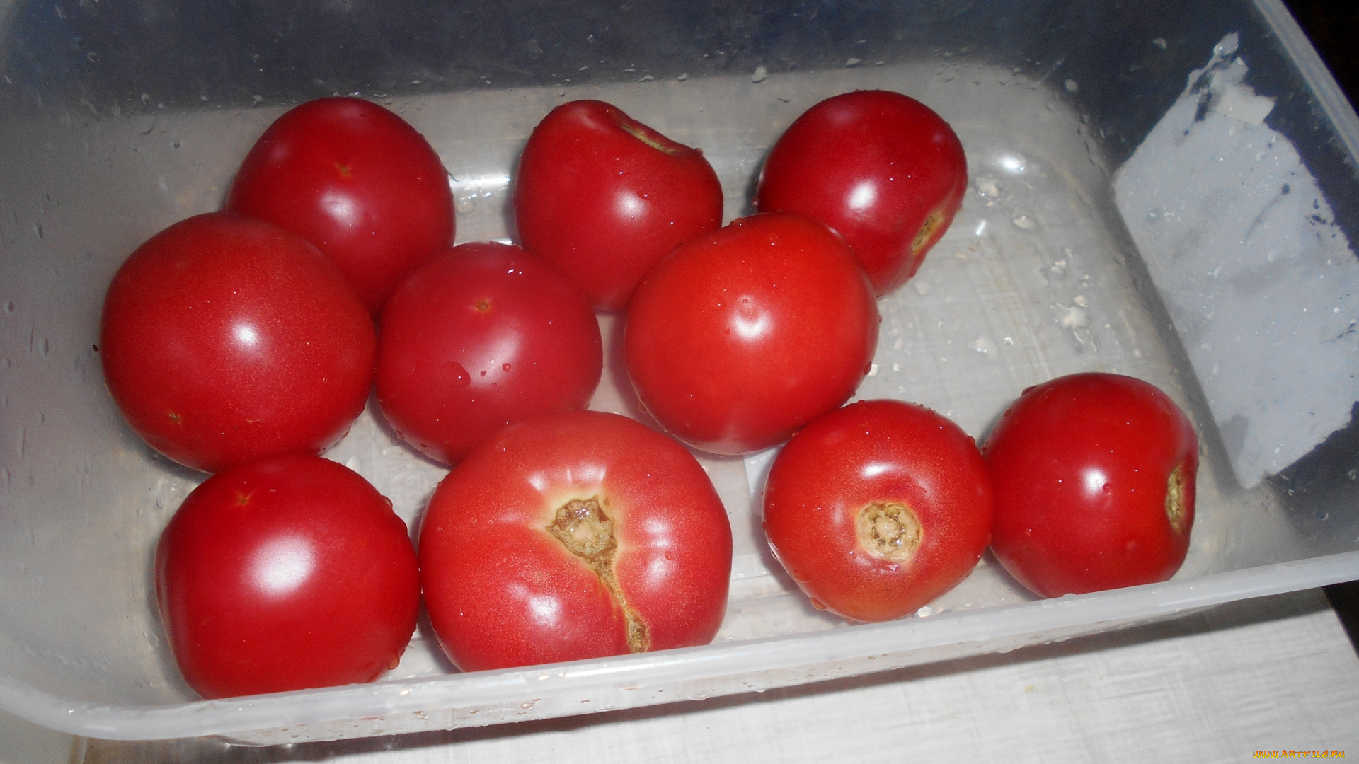 еда, помидоры, томаты