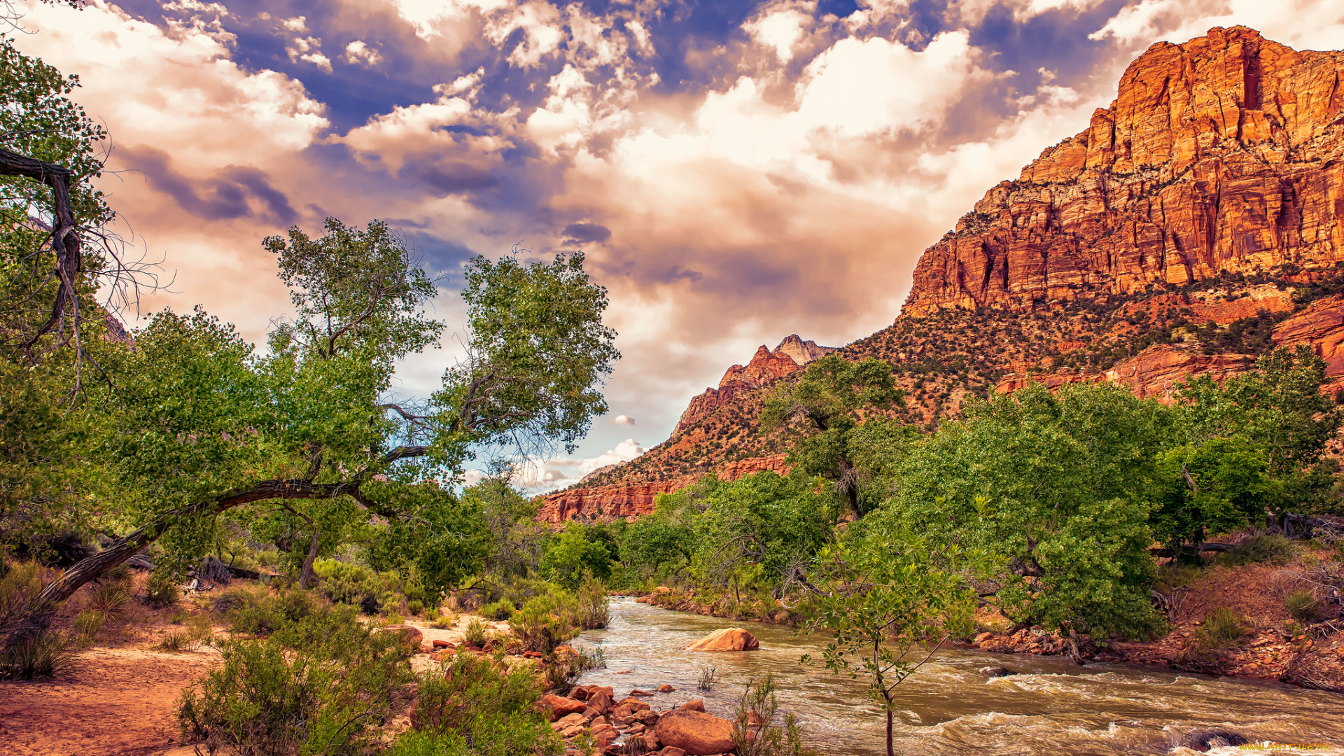 природа, горы, простор