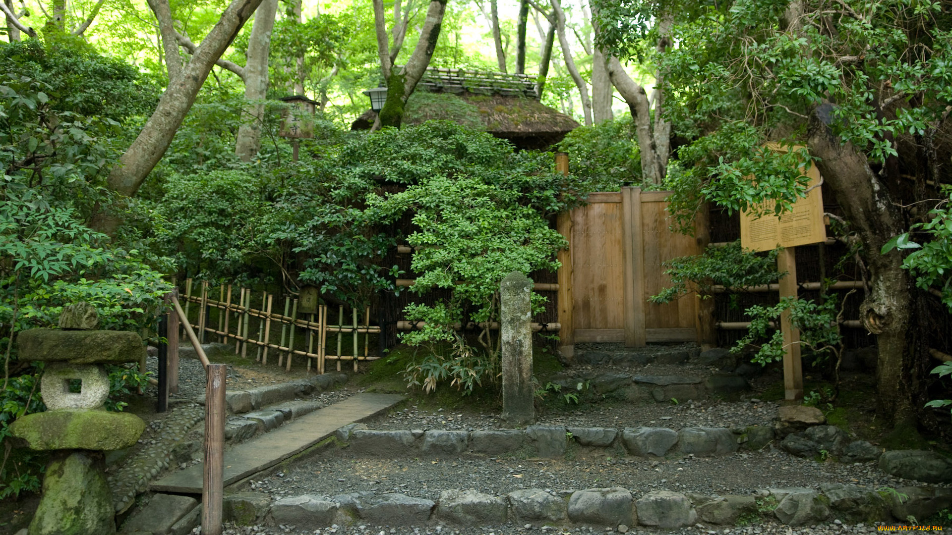 природа, парк, здание, ступени, лес, табличка