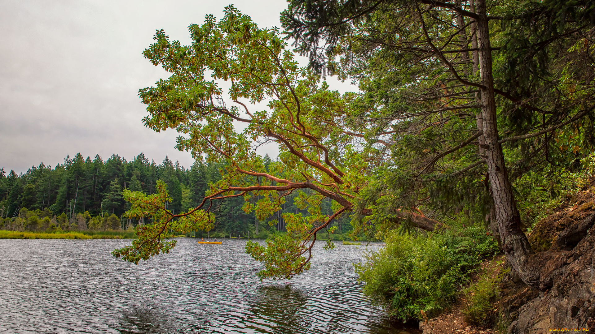 природа, реки, озера, простор