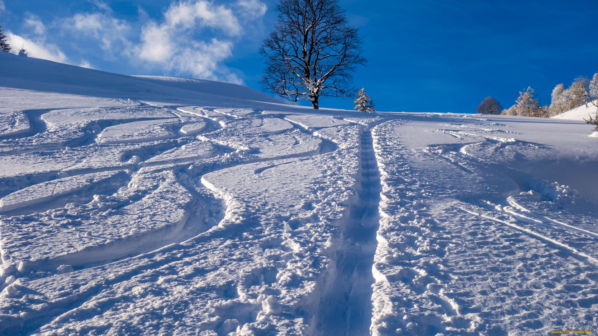 природа, зима, деревья, снег