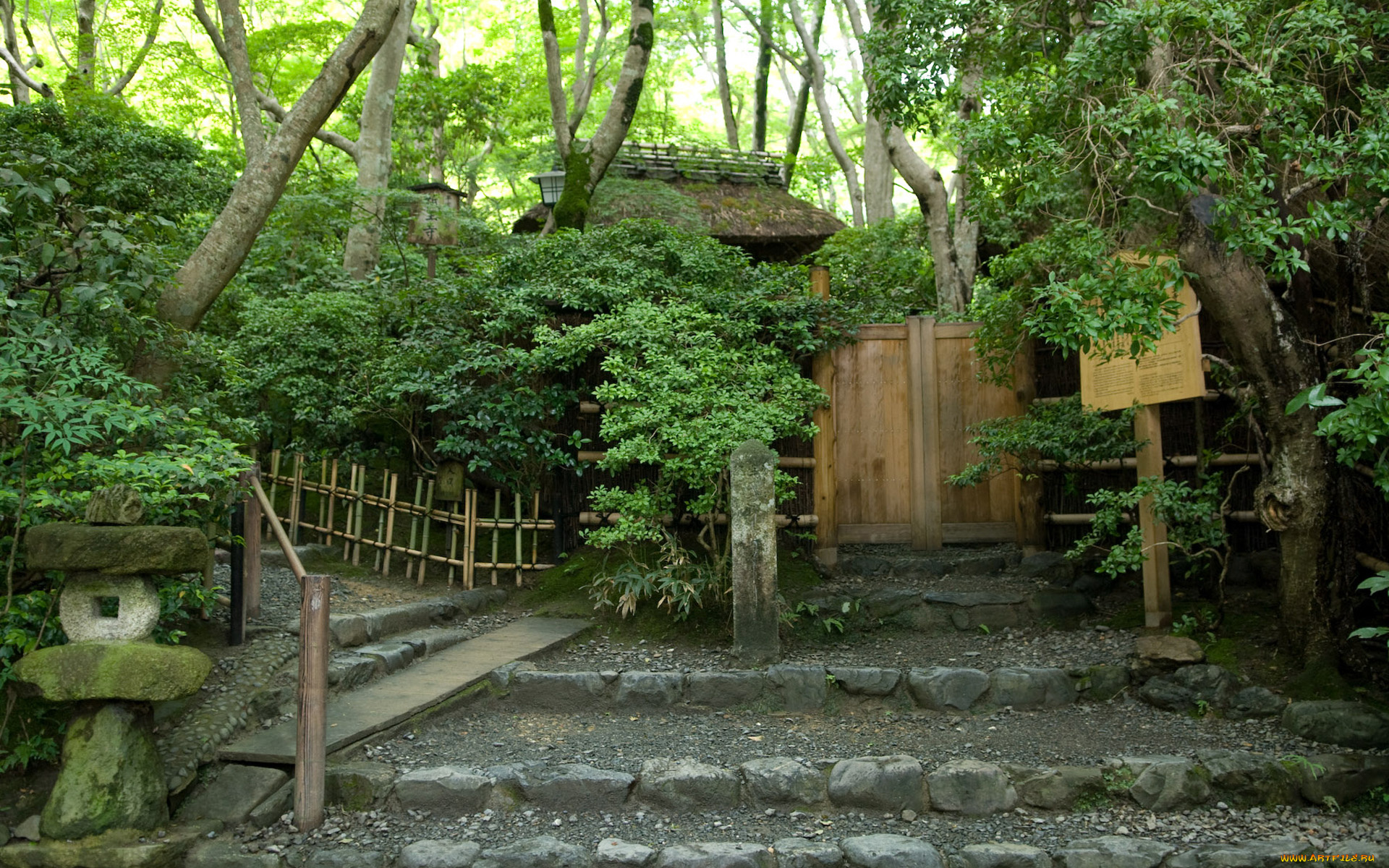 природа, парк, здание, ступени, лес, табличка