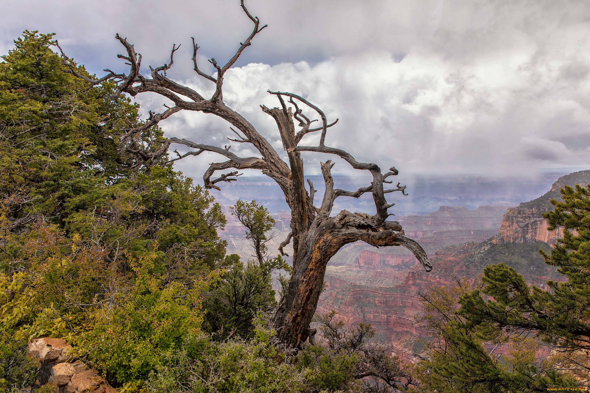 природа, горы, простор