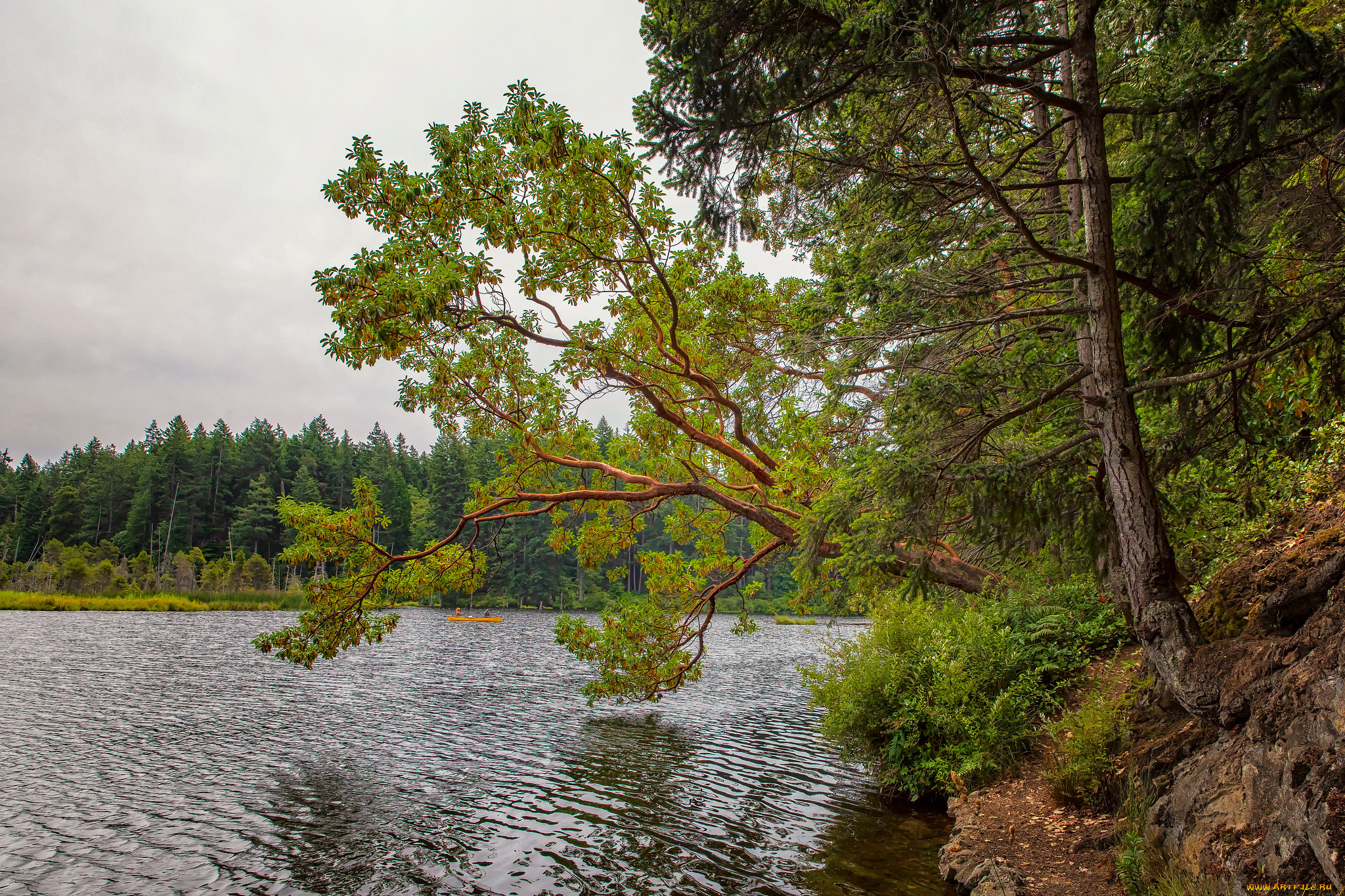 природа, реки, озера, простор