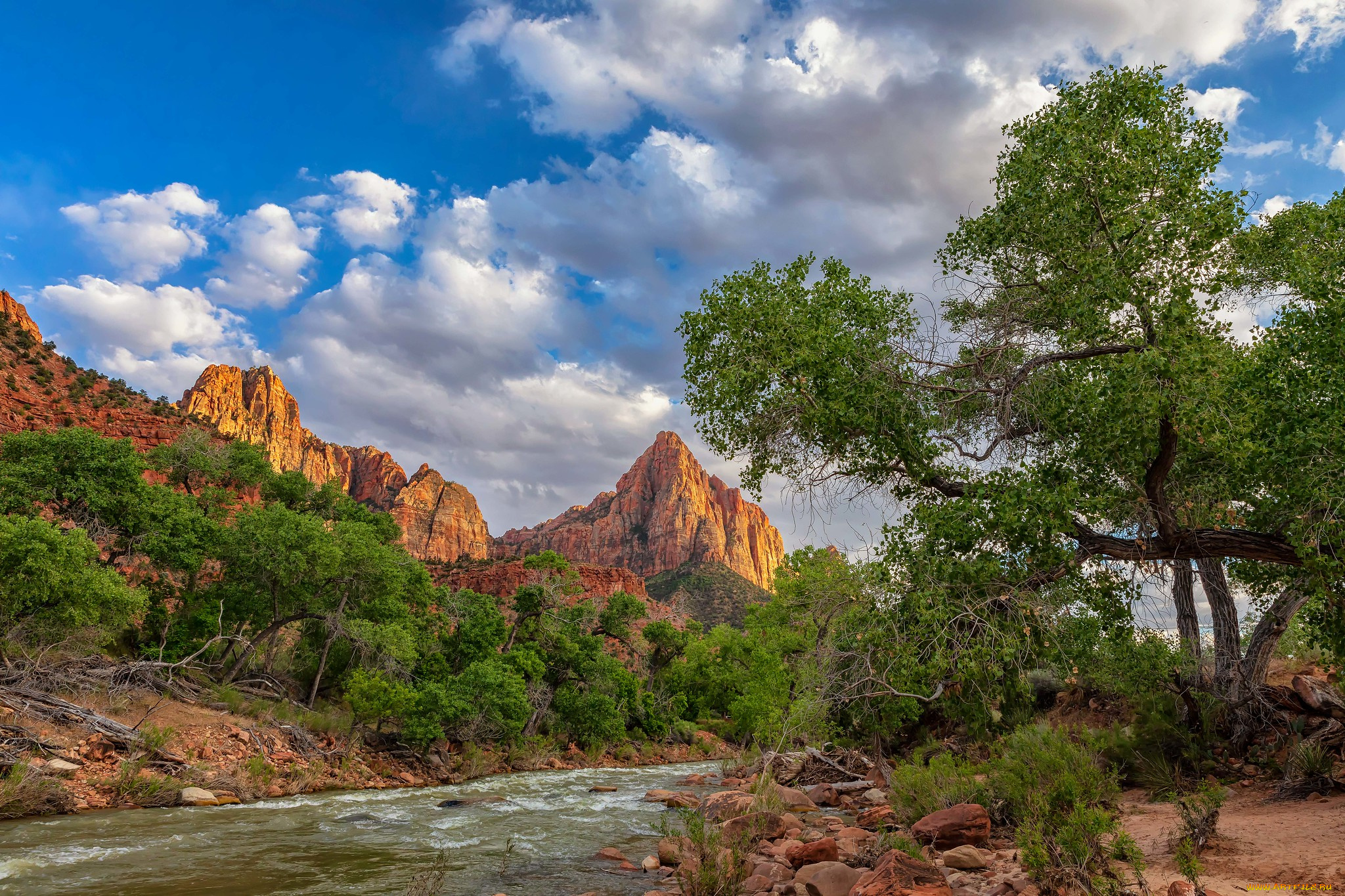 природа, реки, озера, простор