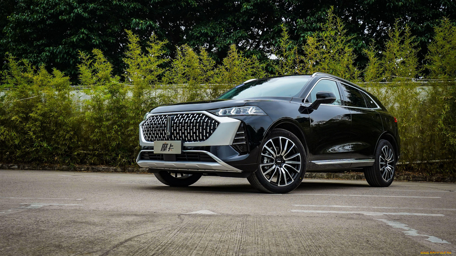 автомобили, wey