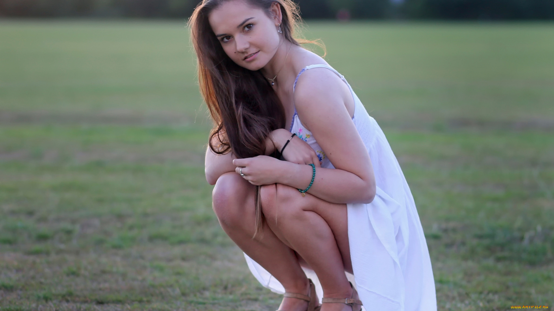 девушки, -, брюнетки, , шатенки, шатенка, платье, поле