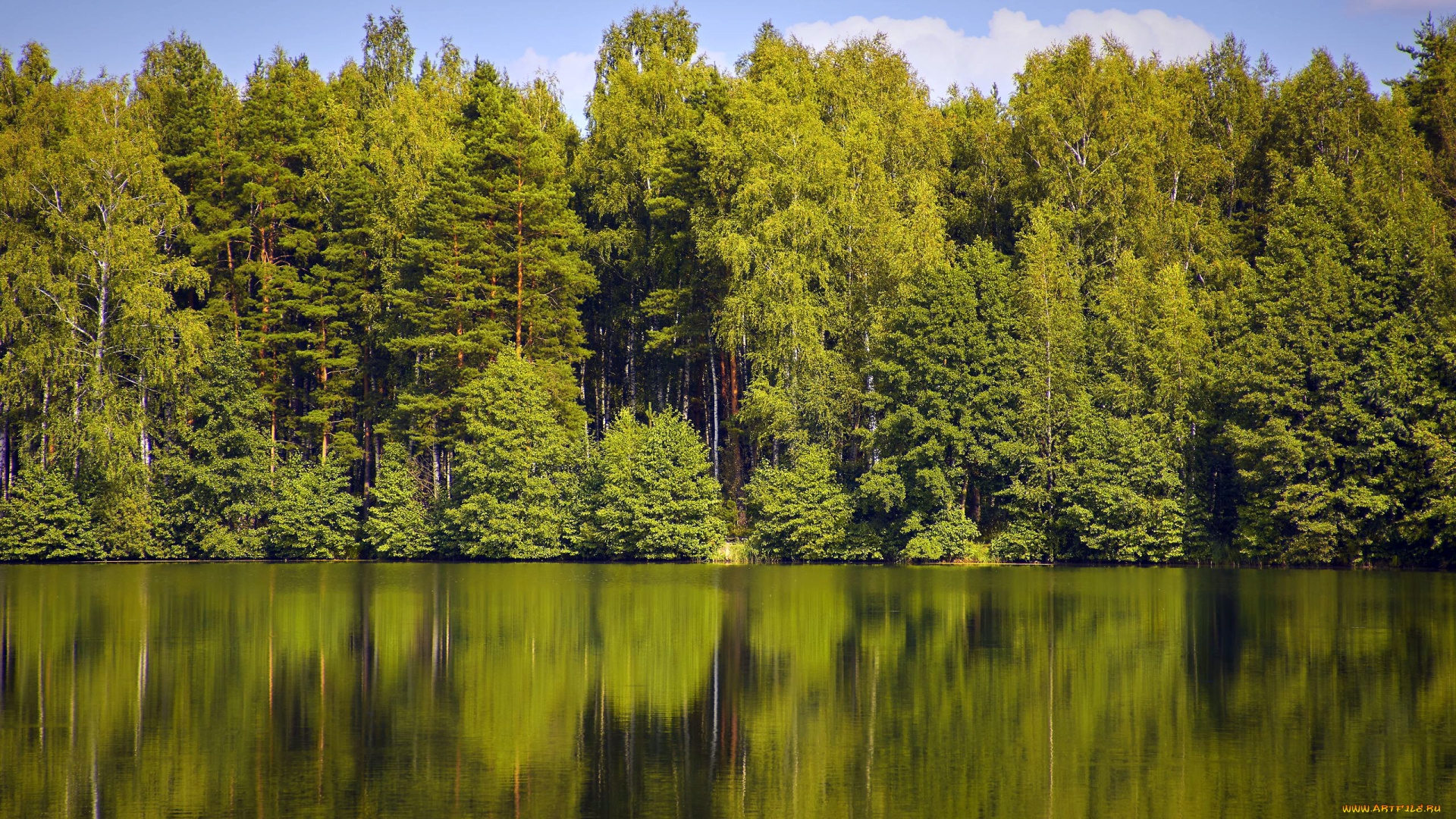 природа, реки, озера, река, лес, деревья