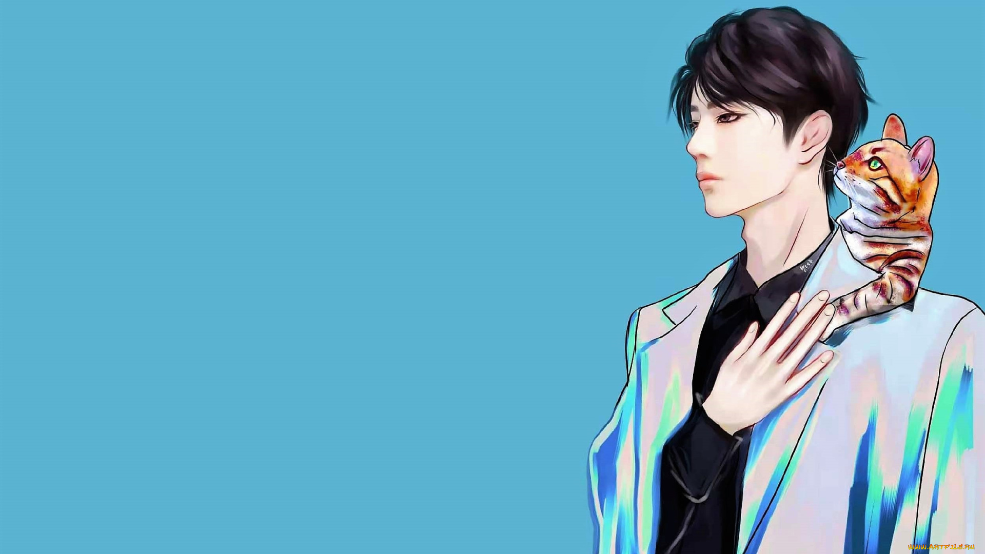 рисованное, люди, ван, ибо, кот