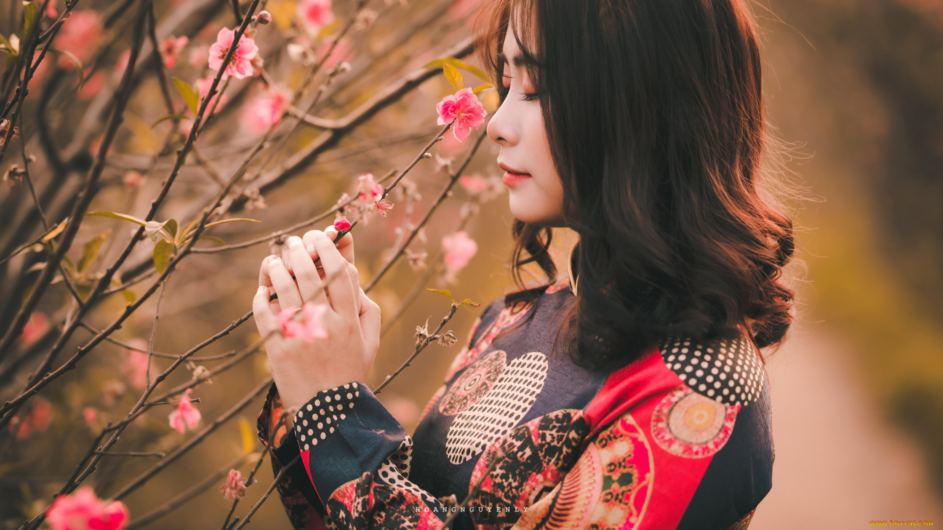 девушки, -, азиатки, азиатка, цветущее, дерево