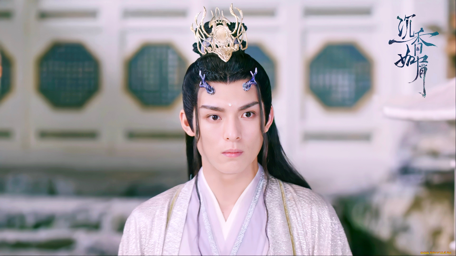 кино, фильмы, immortal, samsara, ван, хао, сюань, вечная, самсара, щепки, агарового, дерева