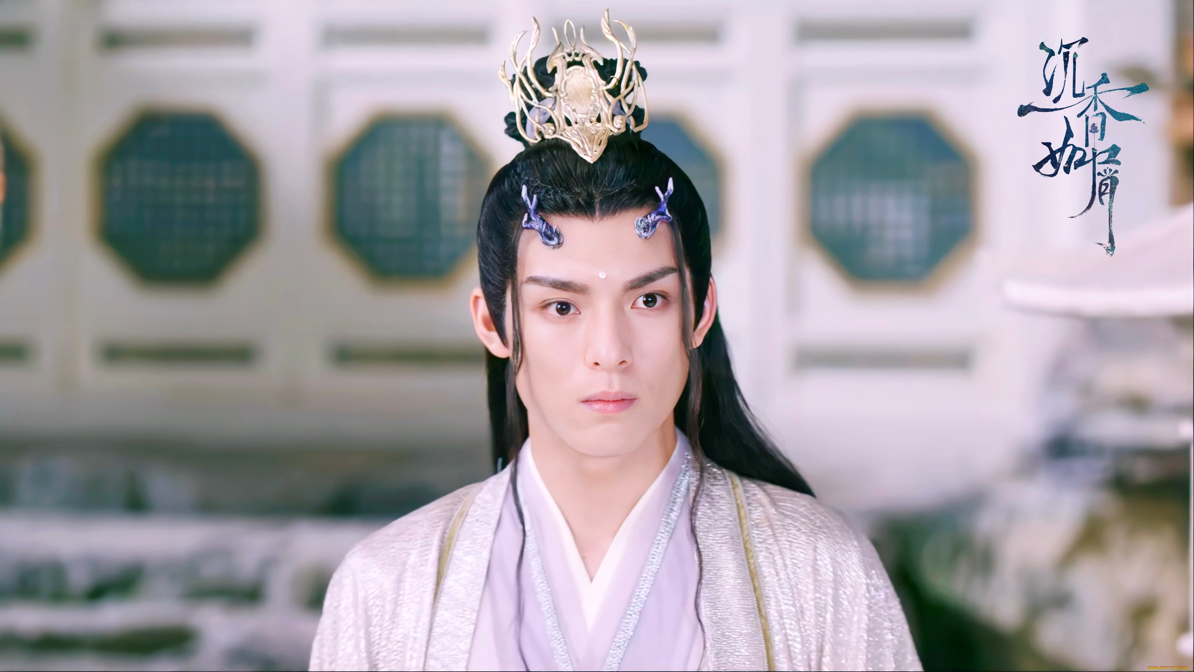 кино, фильмы, immortal, samsara, ван, хао, сюань, вечная, самсара, щепки, агарового, дерева