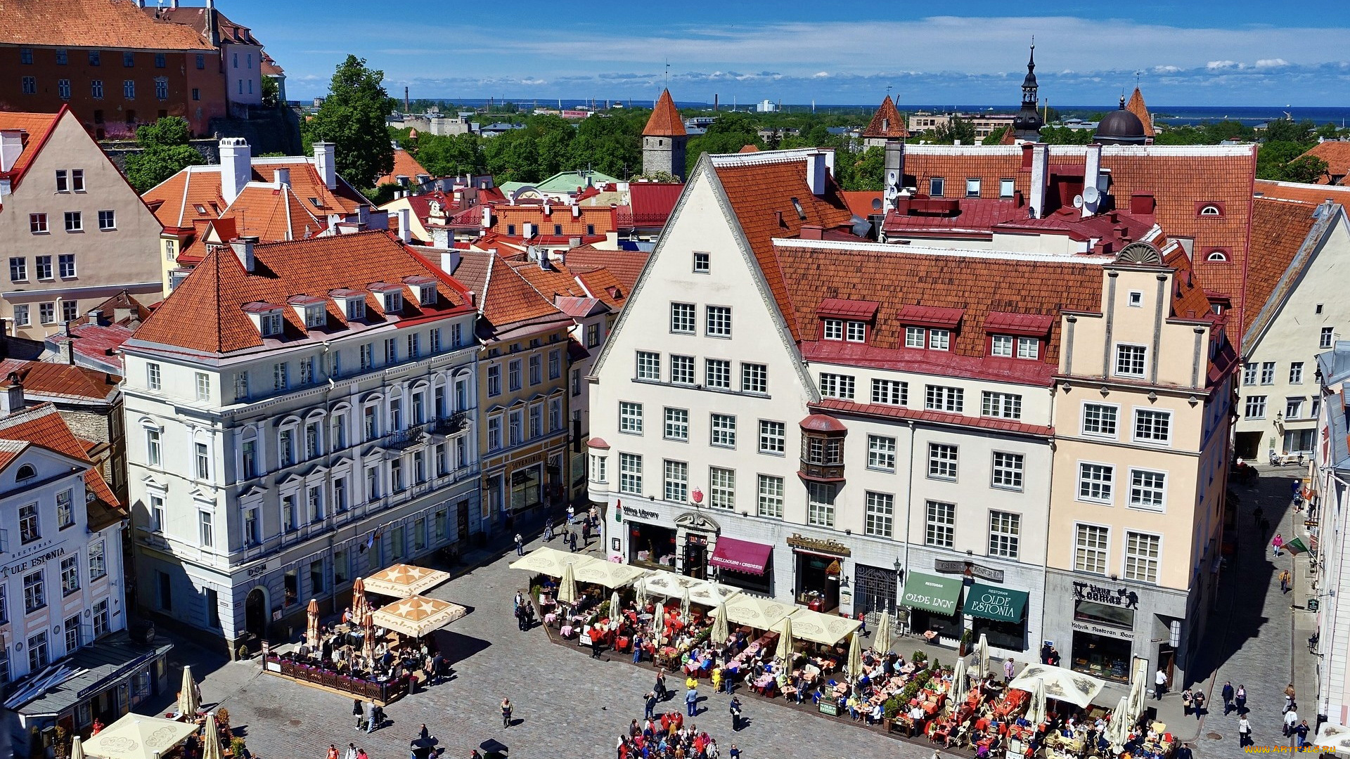 города, таллин, , эстония, площадь, панорама