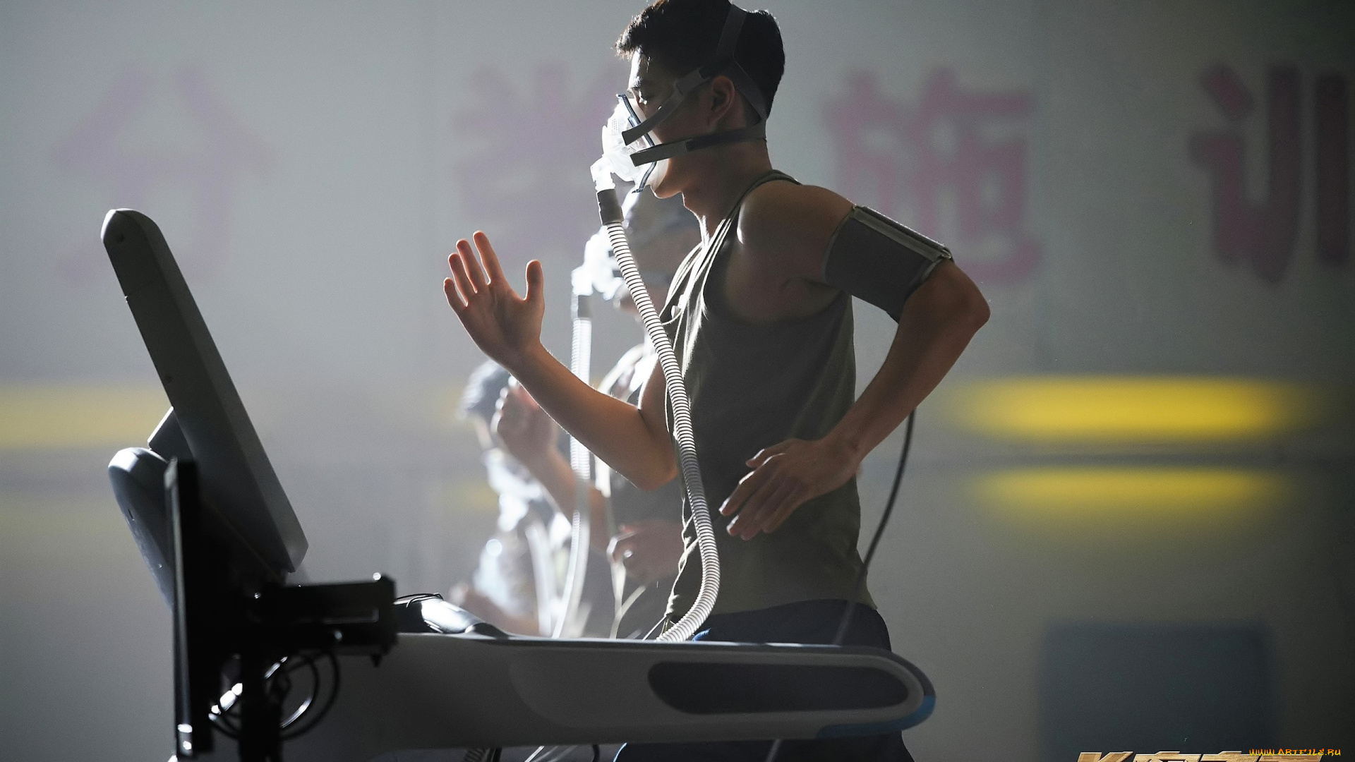 кино, фильмы, born, to, fly, парни, тренажеры, тренировка