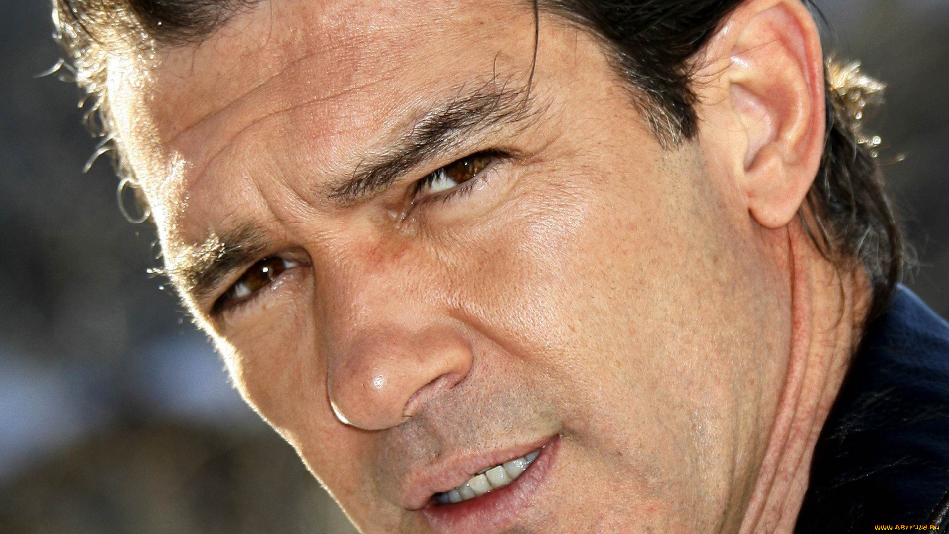 мужчины, antonio, banderas, актер, лицо