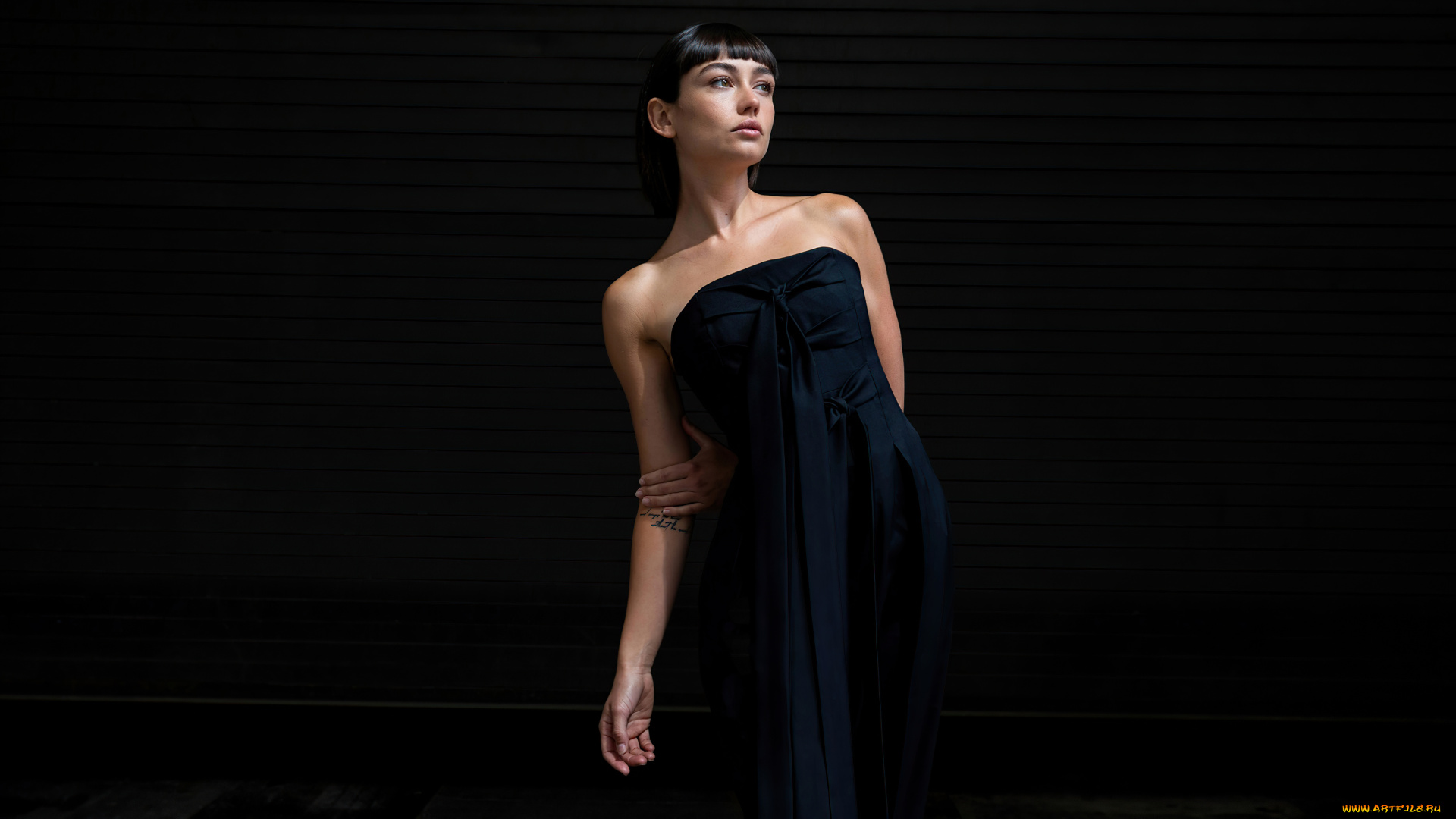 sydney, chandler, девушки, -, брюнетки, , шатенки, брюнетка, платье