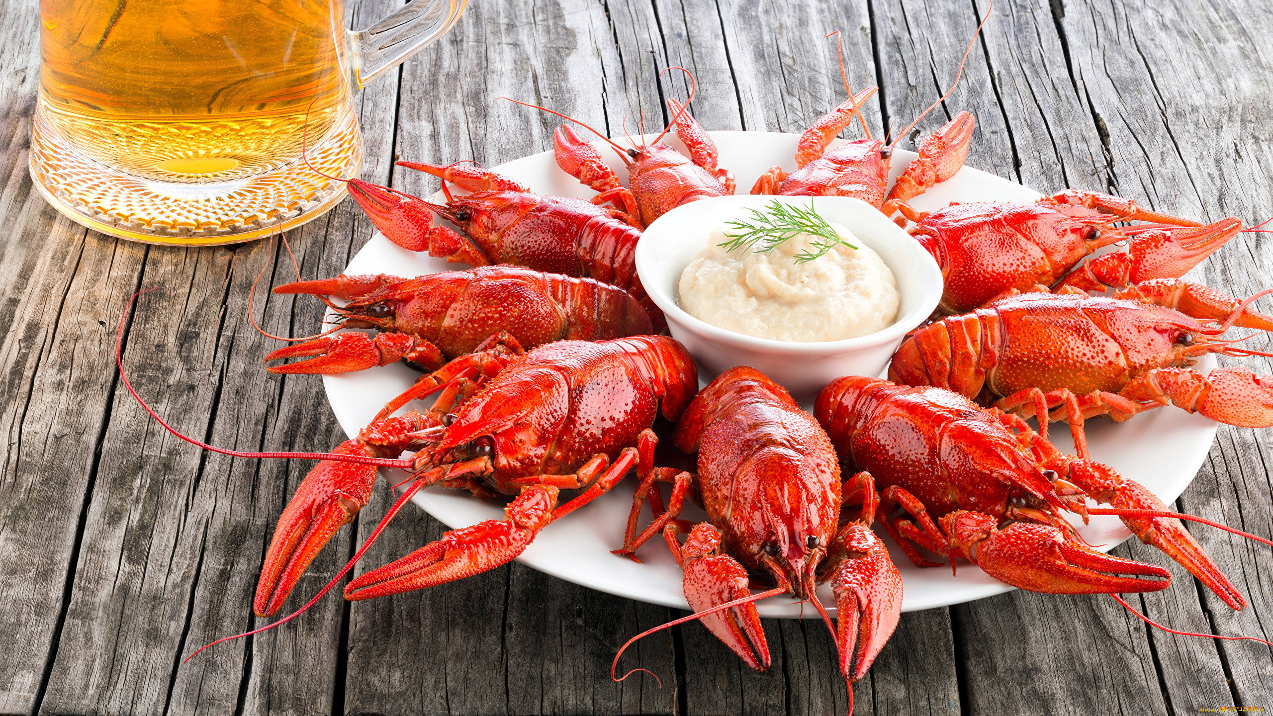 еда, рыбные, блюда, , с, морепродуктами, раки, укроп, соус