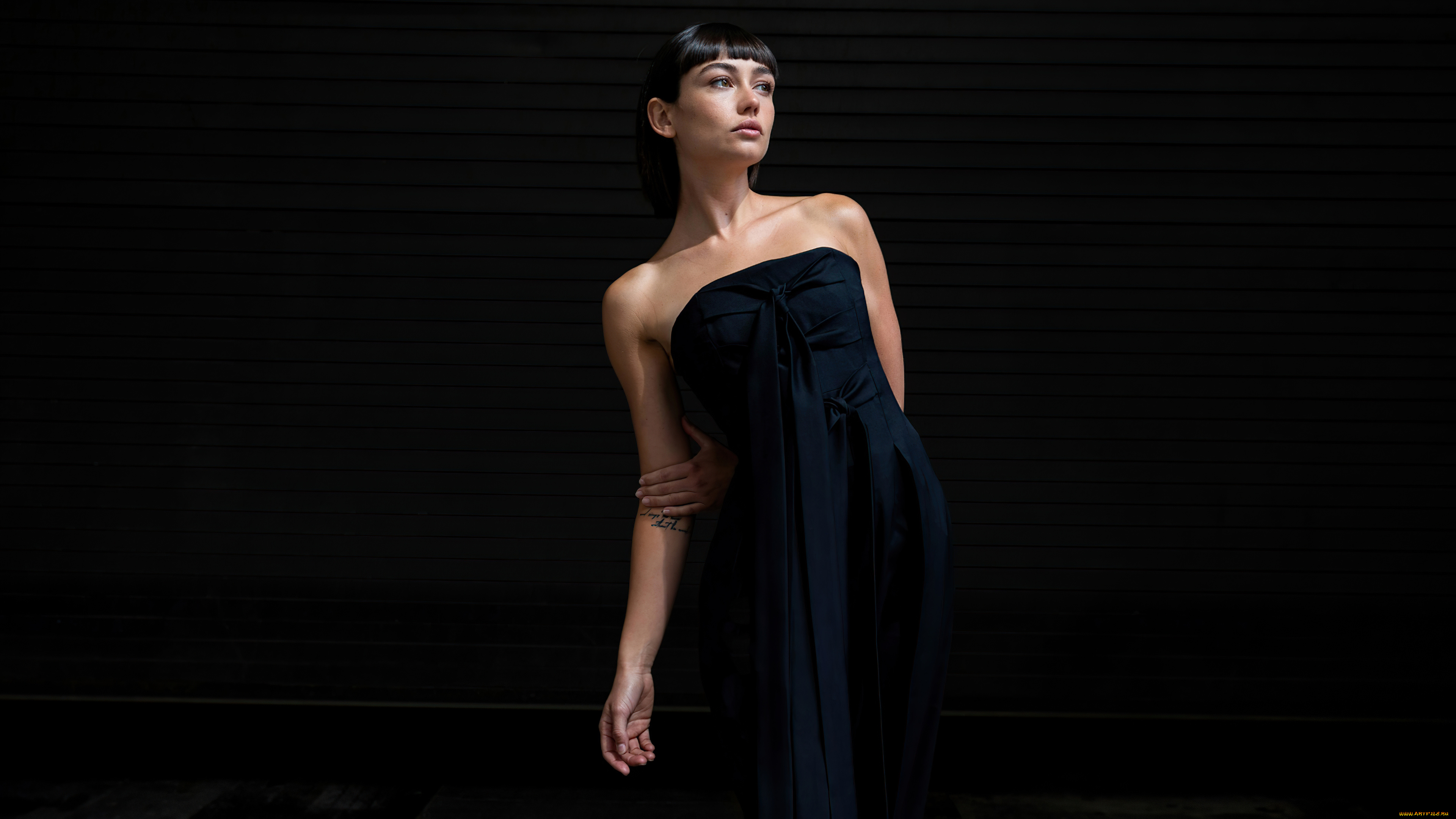 sydney, chandler, девушки, -, брюнетки, , шатенки, брюнетка, платье