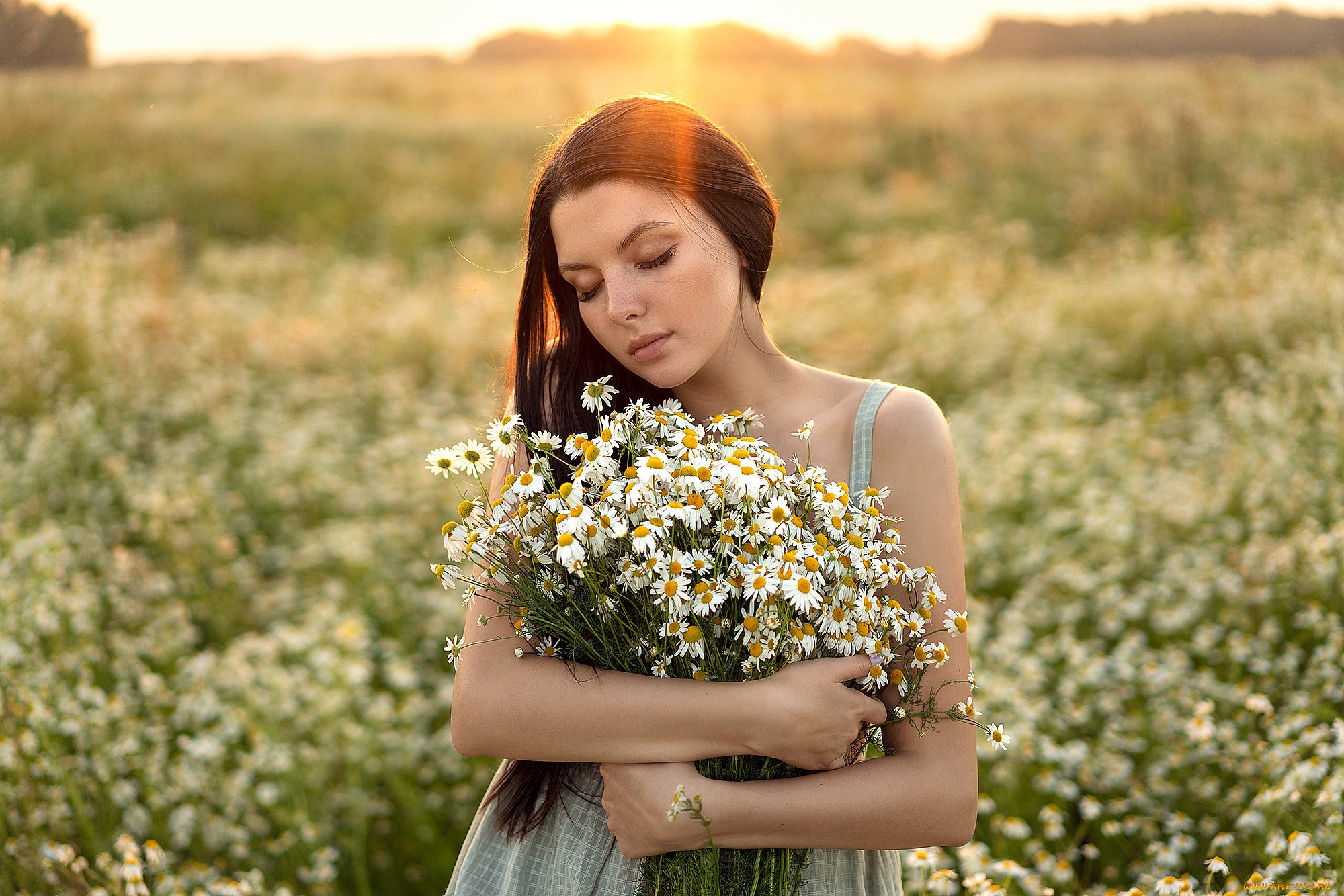 девушки, -, брюнетки, , шатенки, девушка