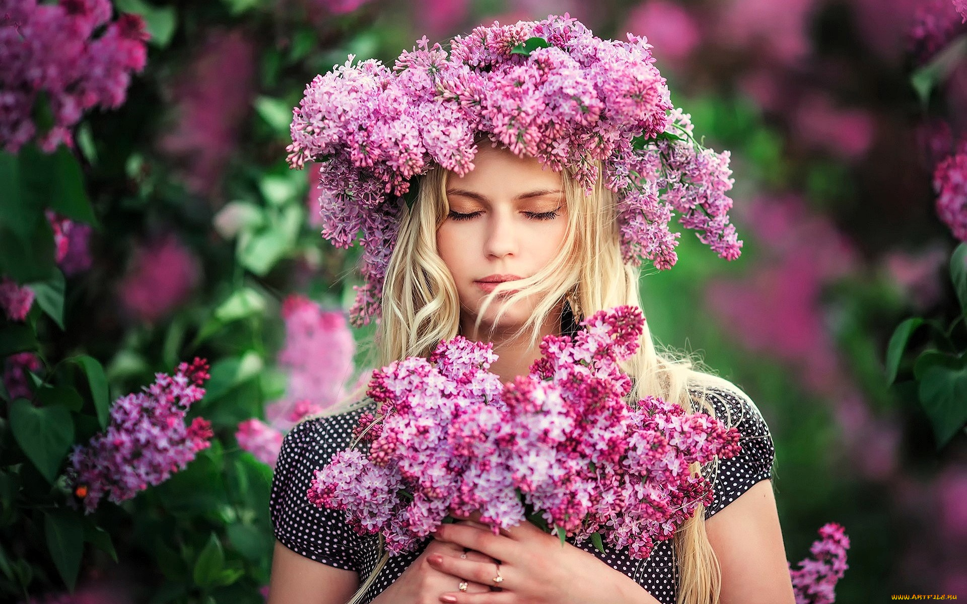 девушки, -, лица, , портреты, блондинка, лицо, венок, букет, сирень, цветы, кусты, цветение