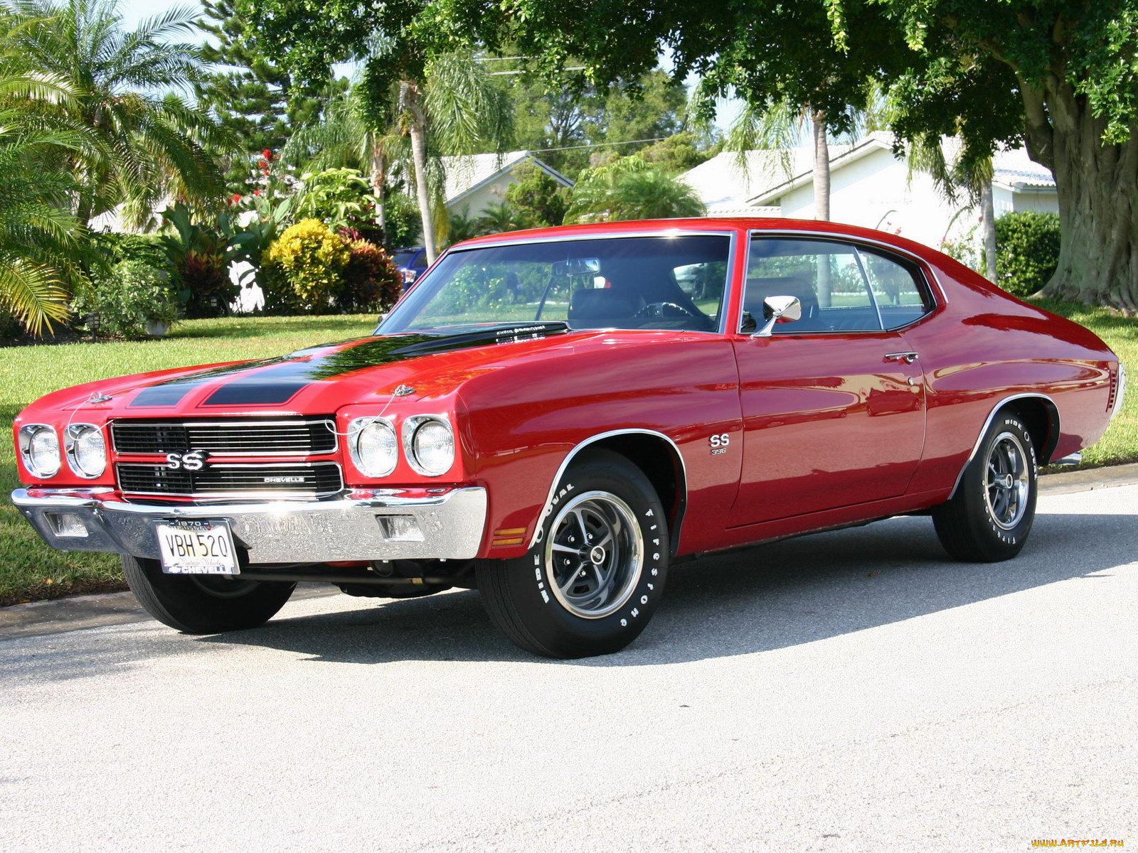 chevrolet, chevelle, ss, автомобили