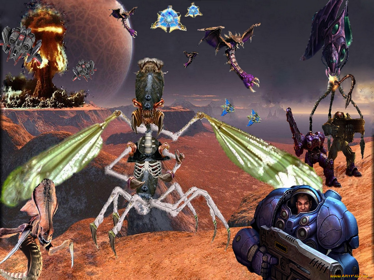 видео, игры, starcraft, ii, wings, of, liberty