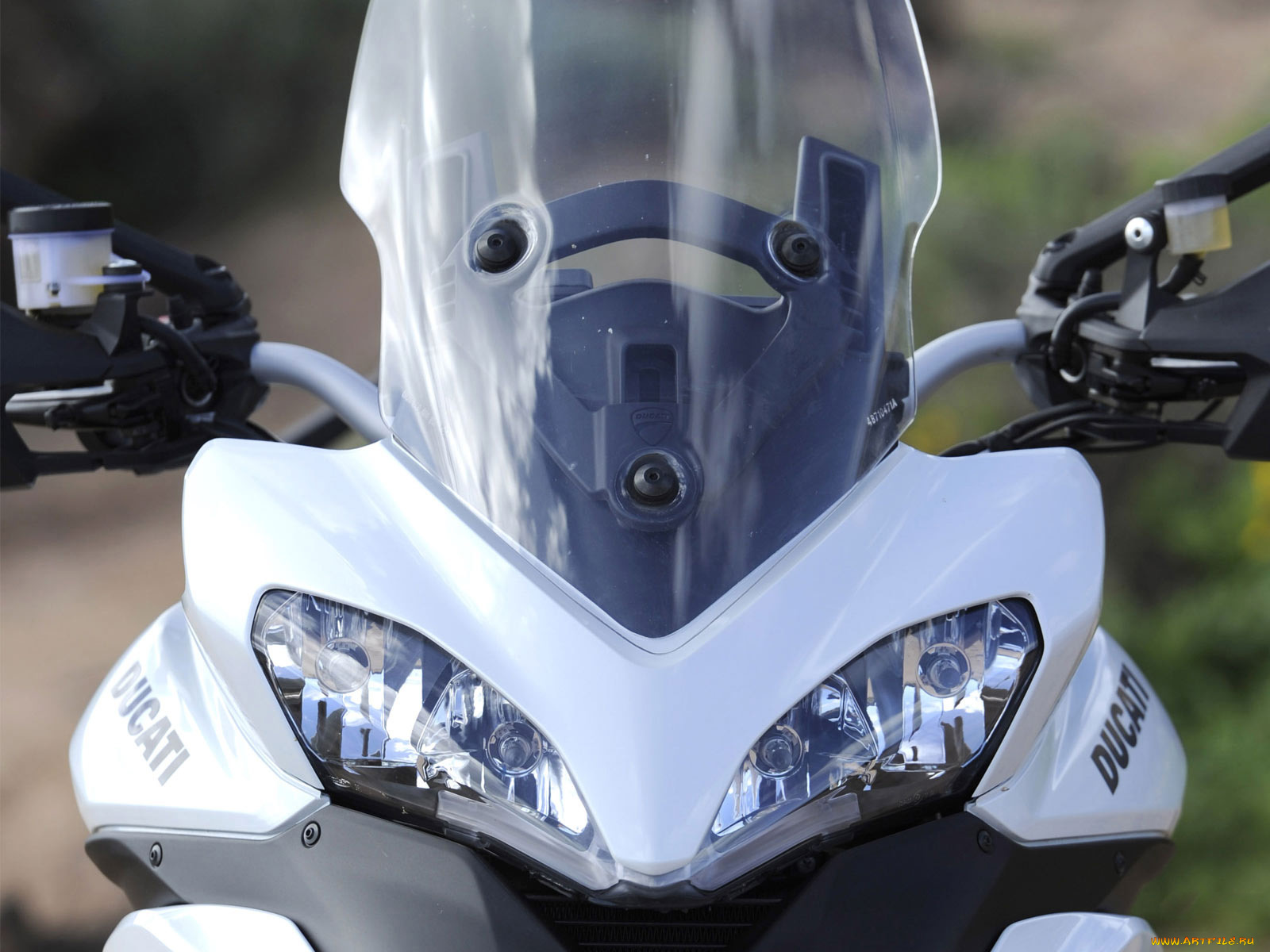 мотоциклы, ducati