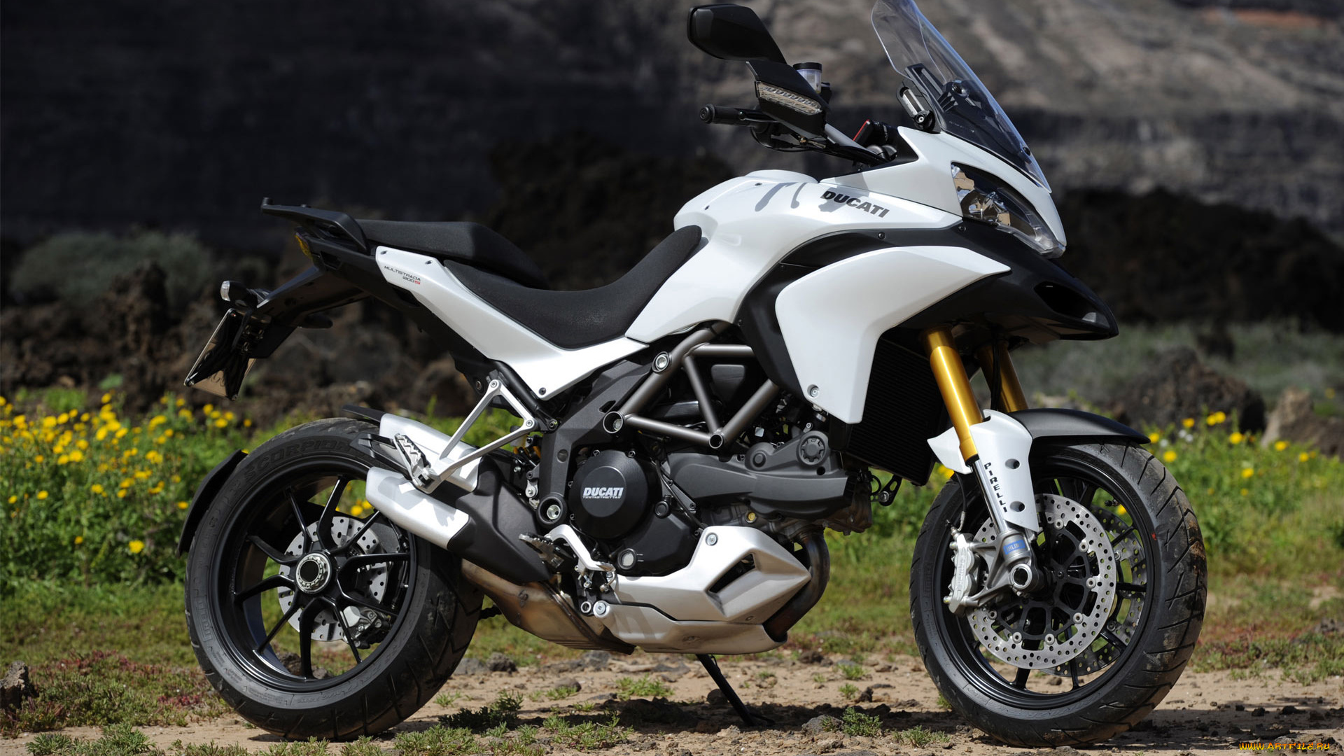 мотоциклы, ducati